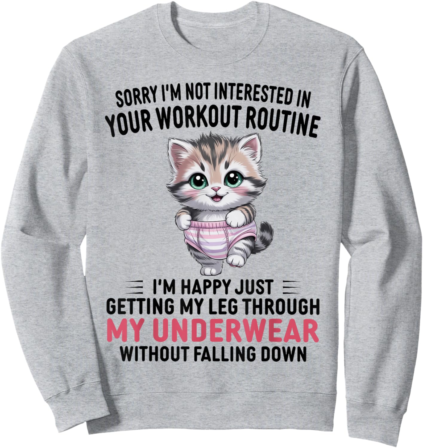 Sorry I'm Not Interested in Your Workout Routine Cat Lover Sweatshirt - Sweatshirt | Ash