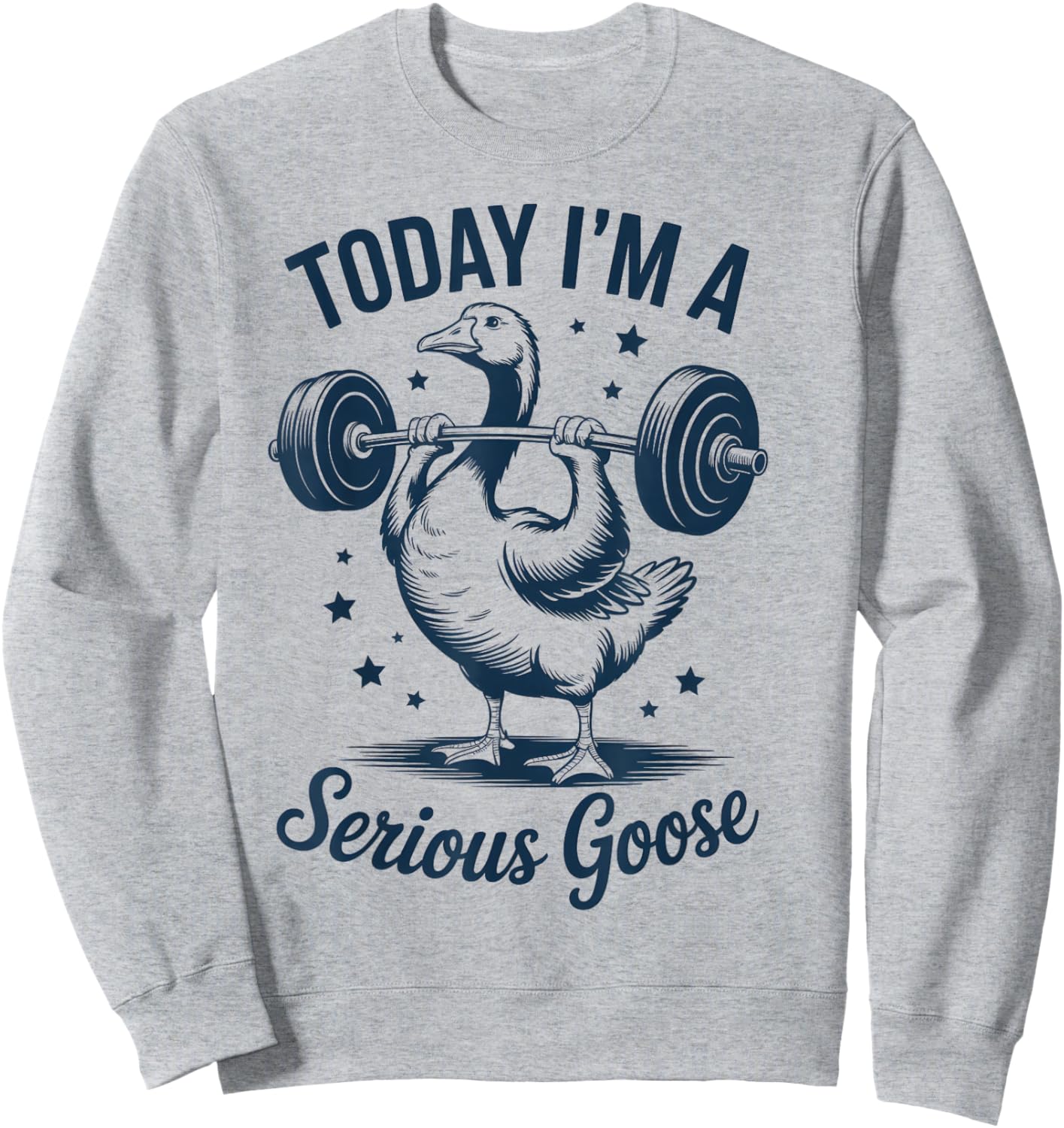 Today I'm a Serious Goose Funny Weight Lifting Gym Workout Sweatshirt - Sweatshirt | Ash