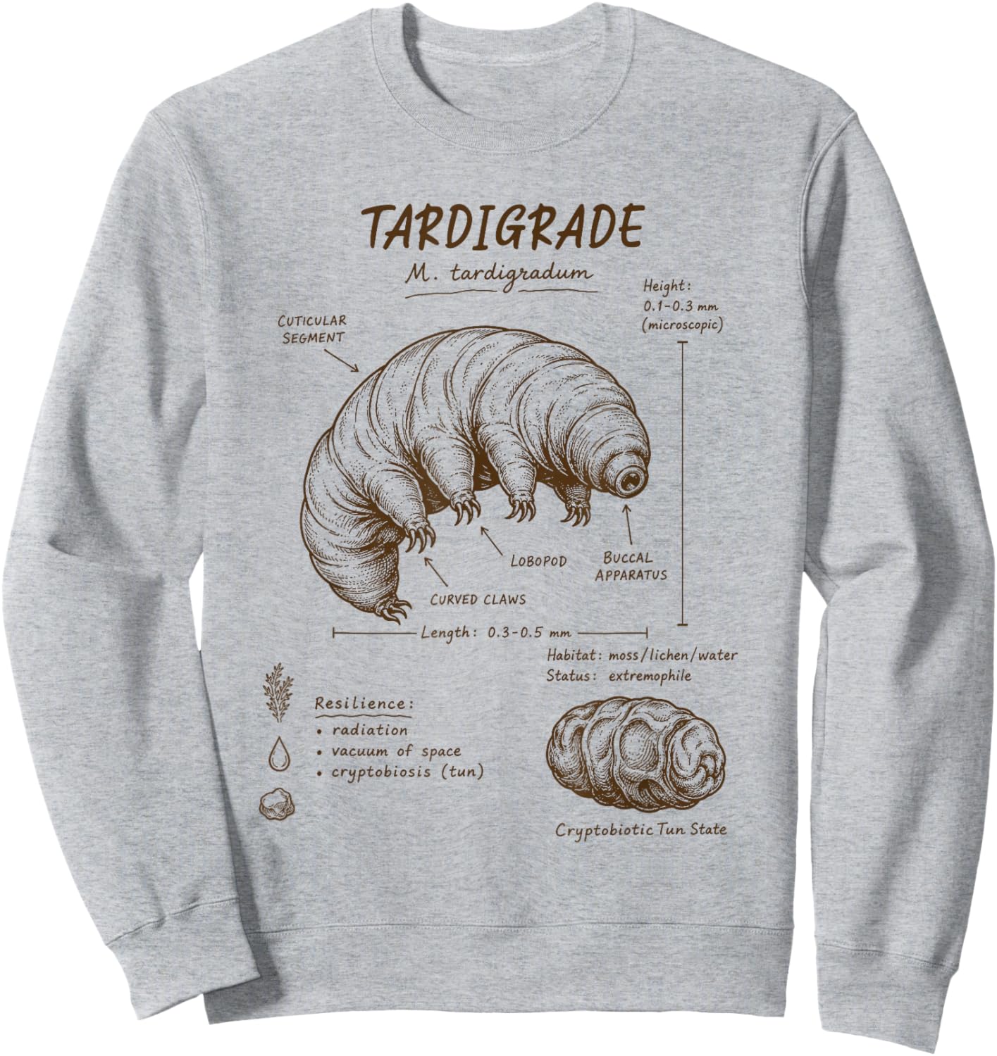 Tardigrade Anatomy Tardigrade Lover Water Bear Science Sweatshirt - Sweatshirt | Ash