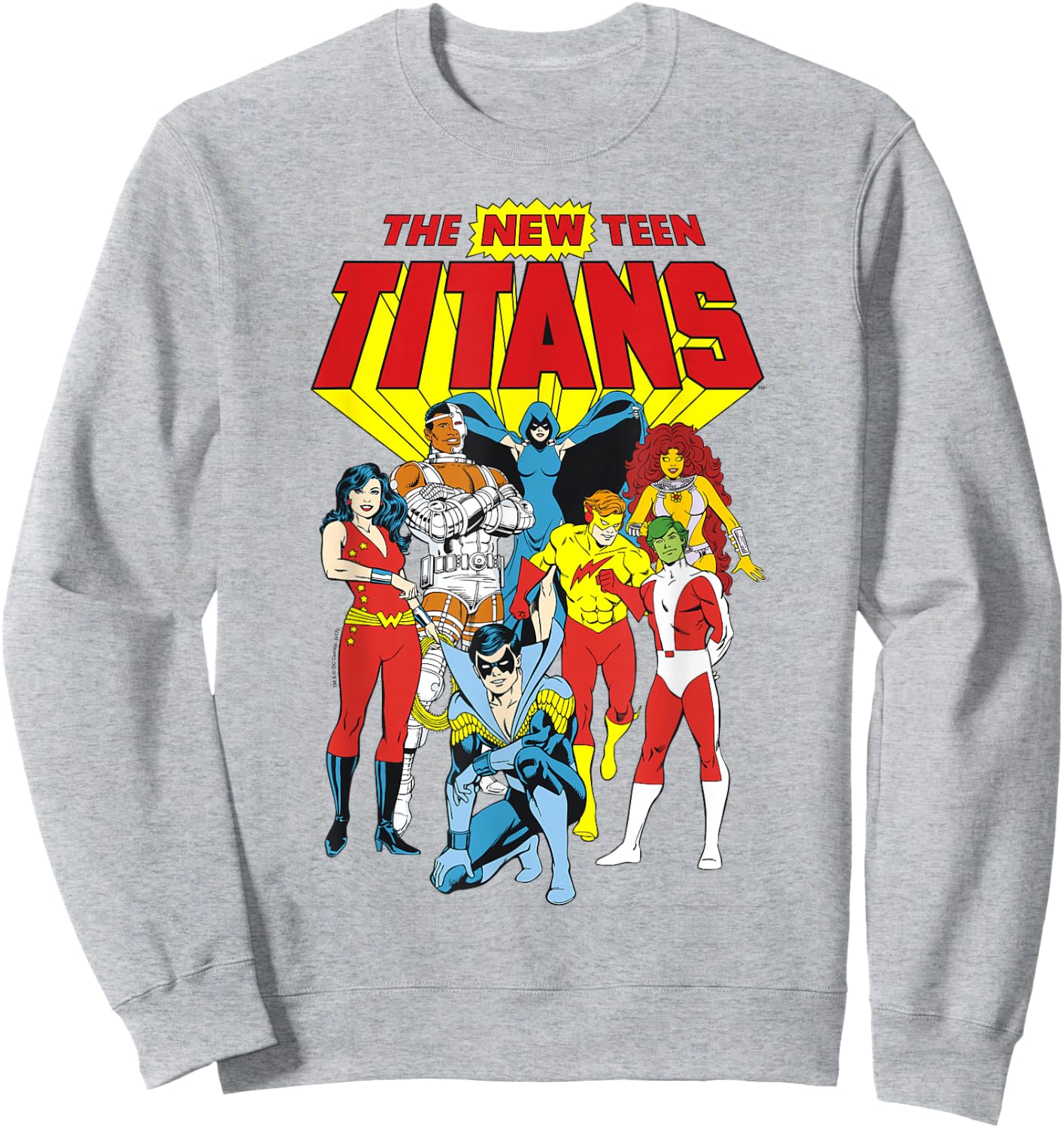Justice League New Teen Titans Small Sweatshirt - Sweatshirt | Ash