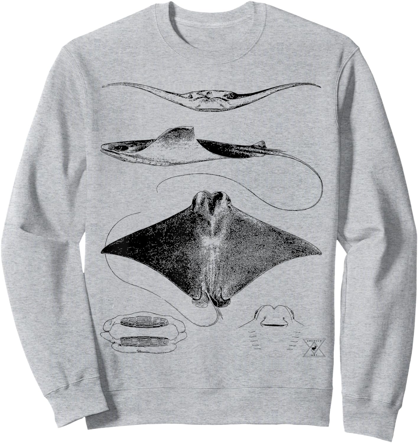 Stingray Anatomy | Sharks Rays Oceanography Sea Life Sweatshirt - Sweatshirt | Ash