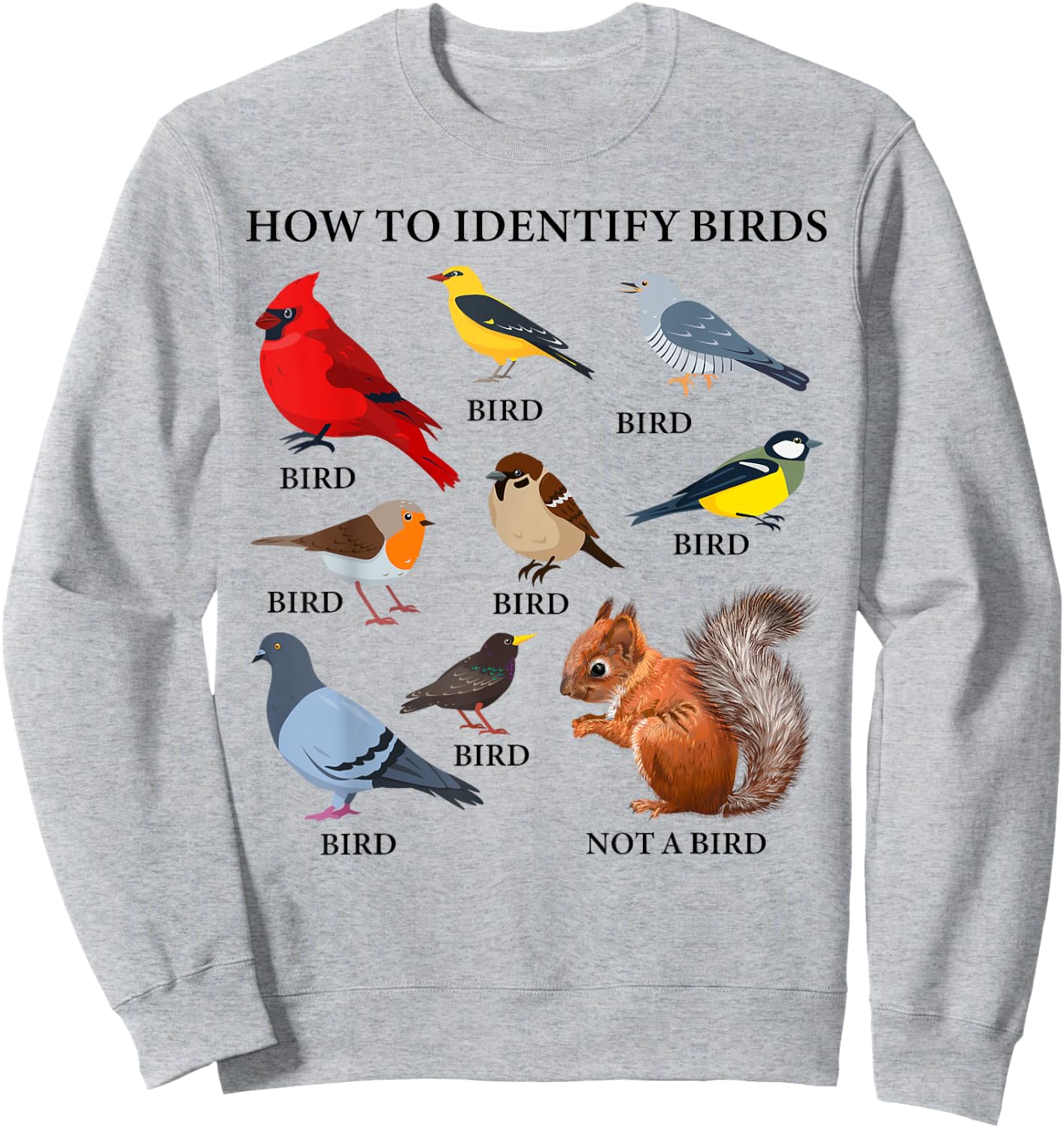 How to Identify Birds Funny Birds Identification Birdwatcher Sweatshirt - Sweatshirt | Ash