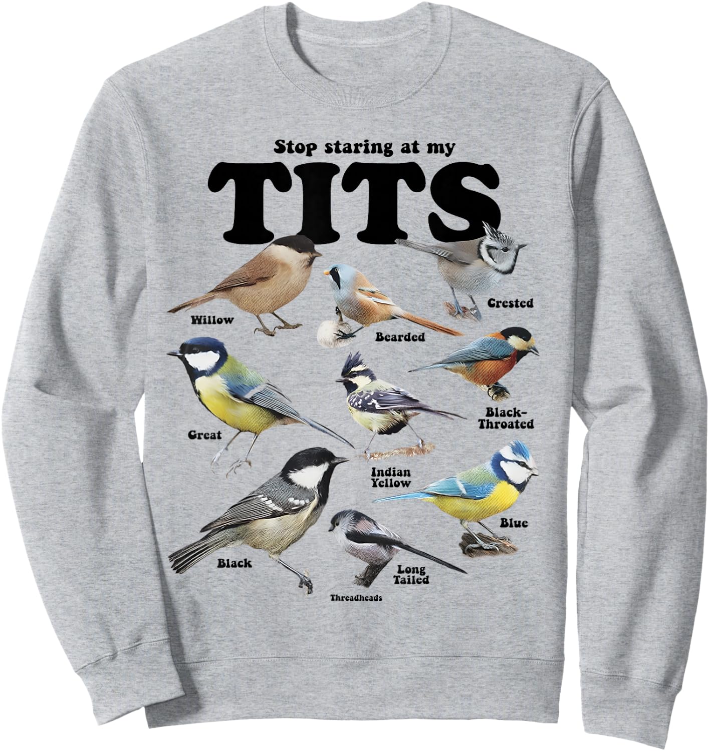 Stop Staring At My Tits Funny Birds Lover Saying Quote Women Sweatshirt - Sweatshirt | Ash