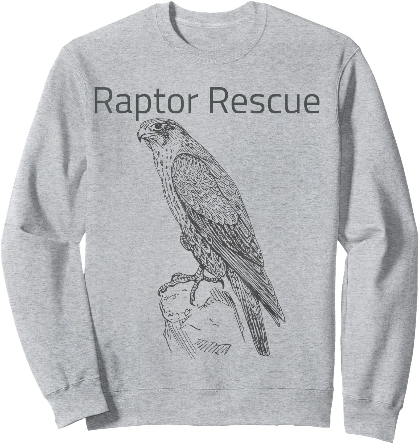 Raptor Rescue Falcon Sweatshirt - Sweatshirt | Ash