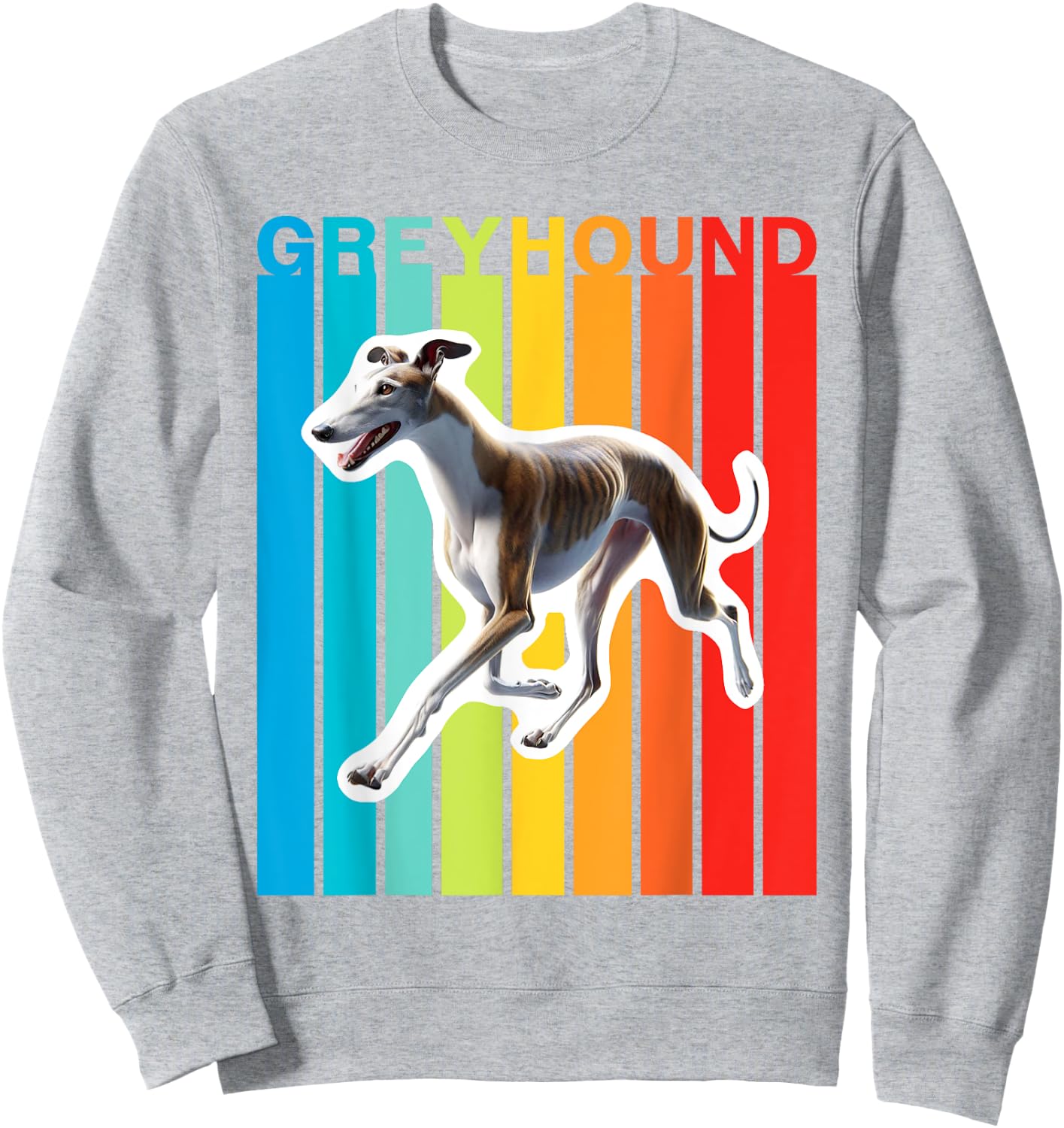 Colorful Greyhound Sweatshirt - Sweatshirt | Ash