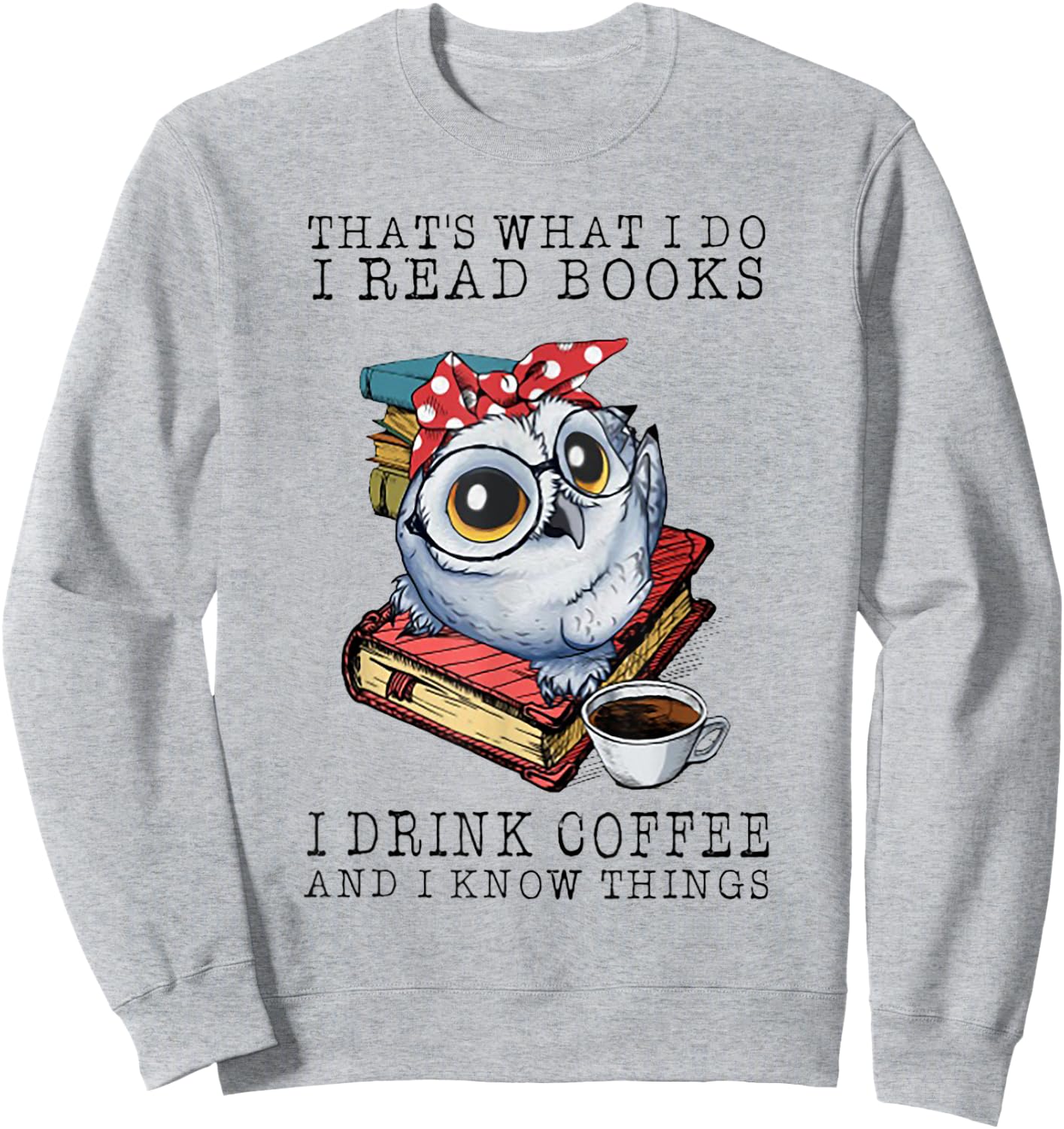 That's What I Do I Read Books I Drink Coffee Owl Sweatshirt - Sweatshirt | Ash