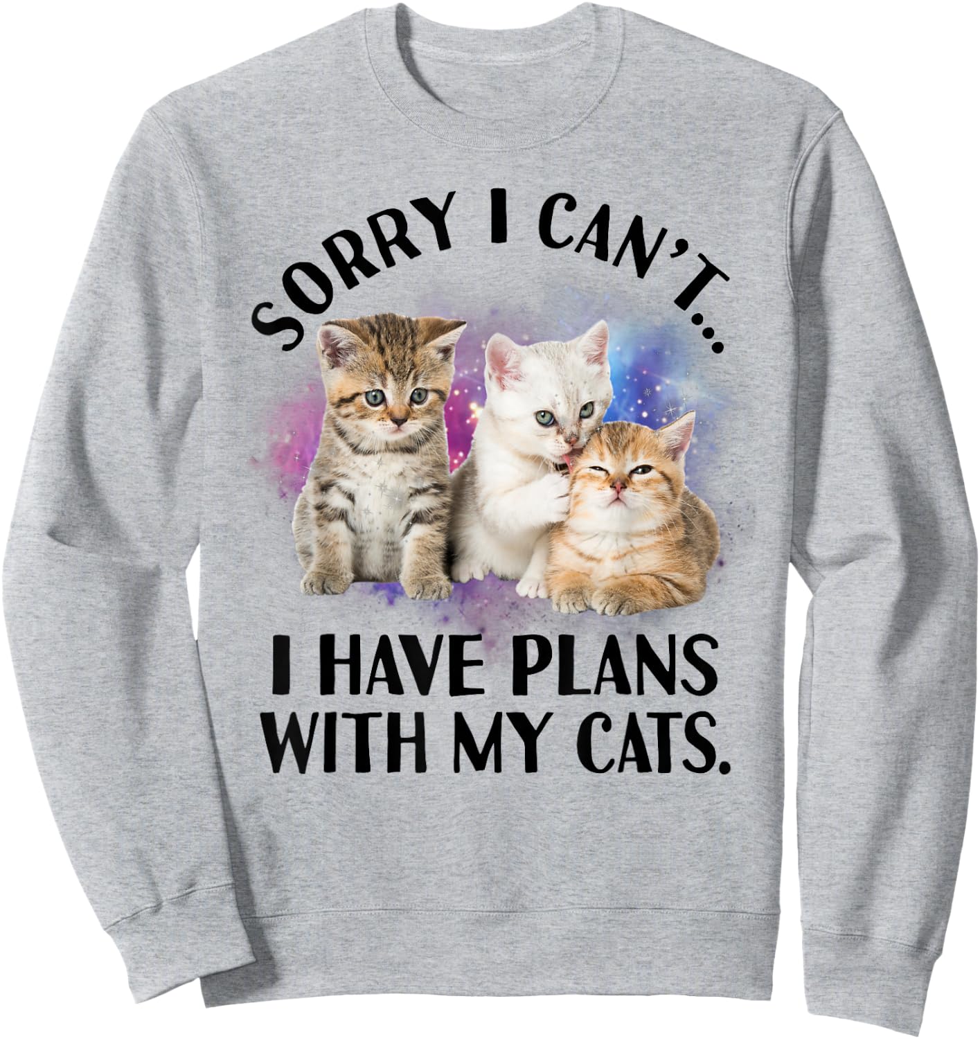 Sorry I Can't I Have Plans with My Cat - Cat Lover Gift Sweatshirt - Sweatshirt | Ash