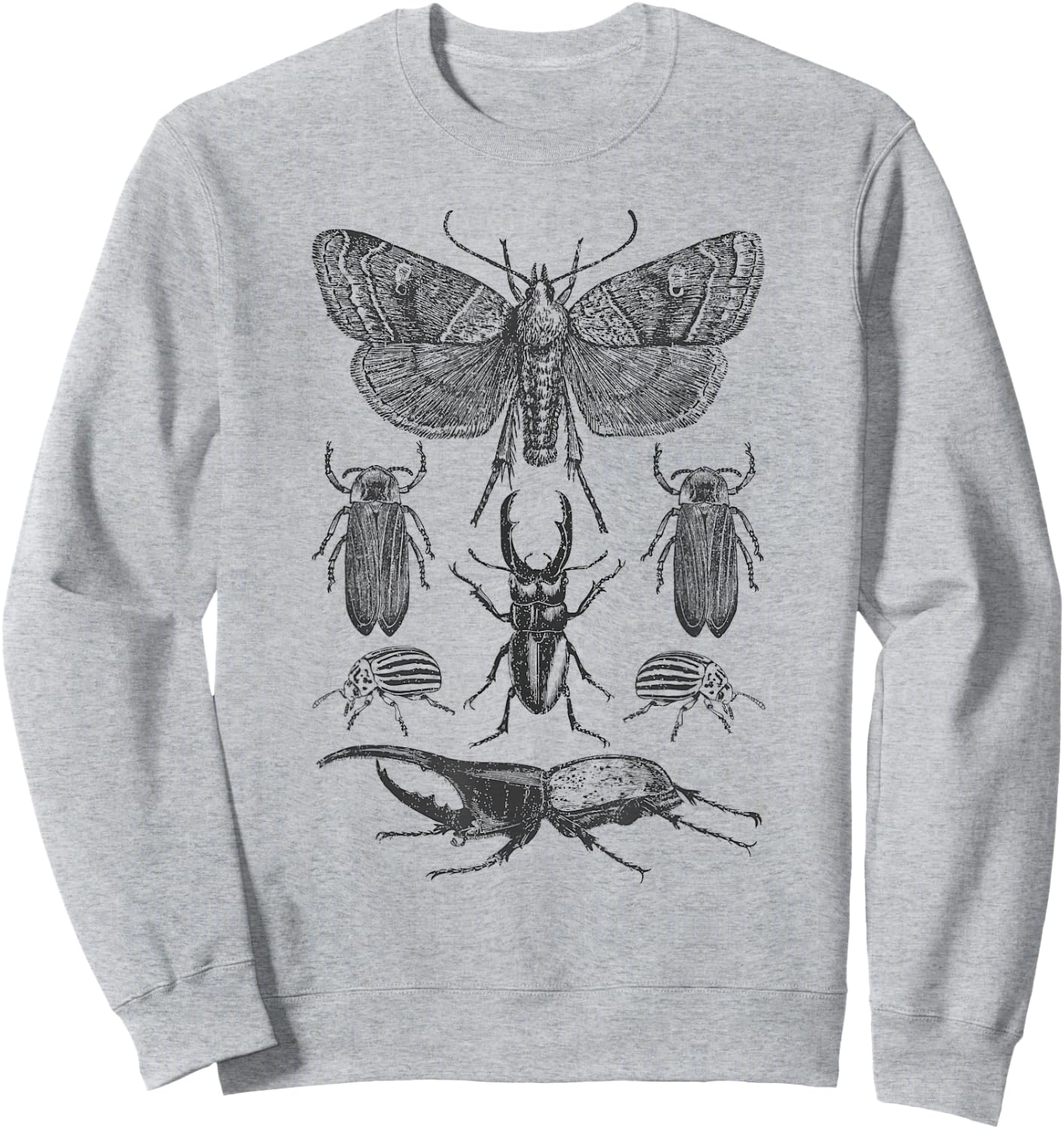 Insect Bug Collection - Moth, Stag Beetle, Cicada Sweatshirt - Sweatshirt | Ash