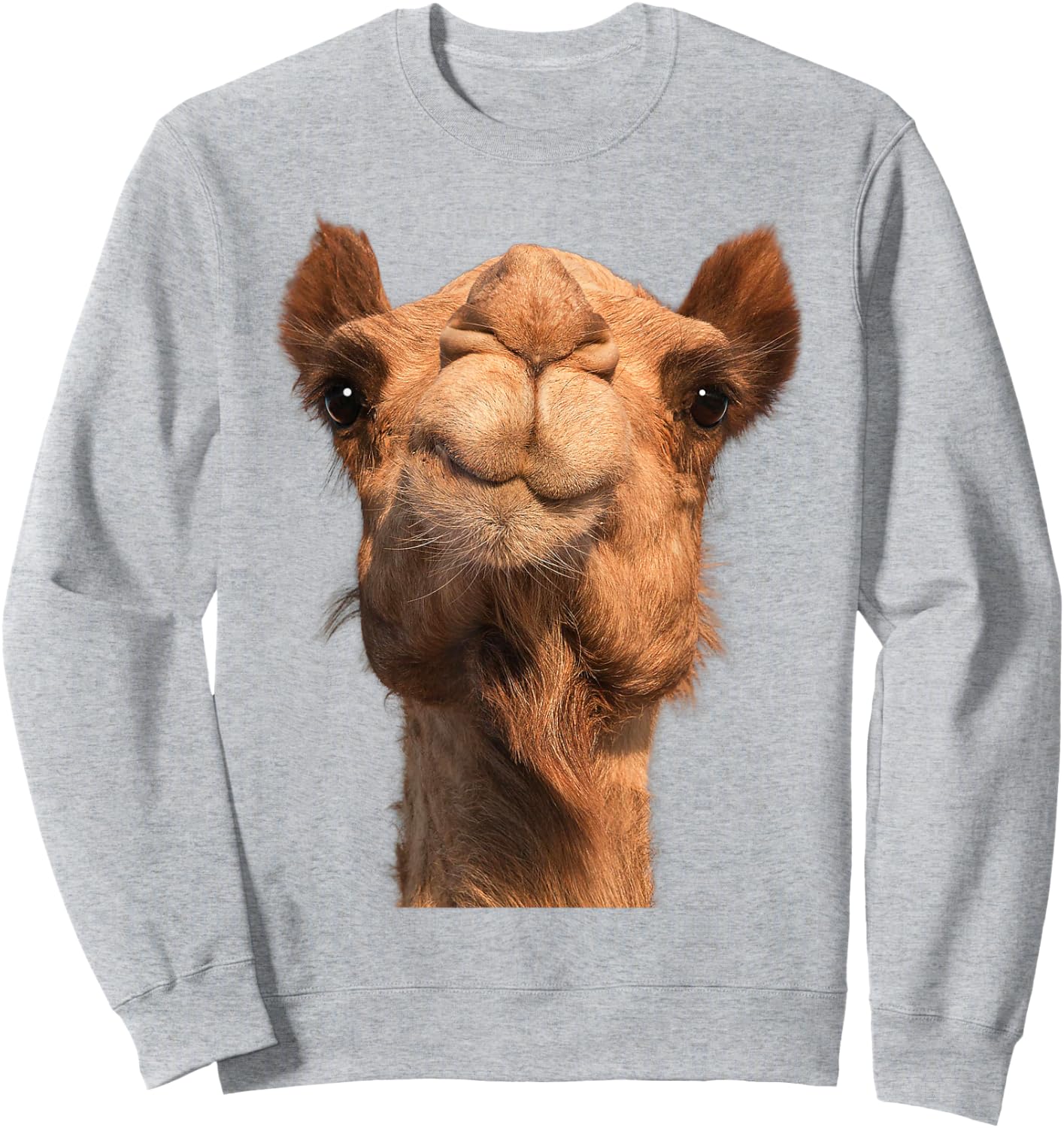 Camel Animal Face Sweatshirt - Sweatshirt | Ash