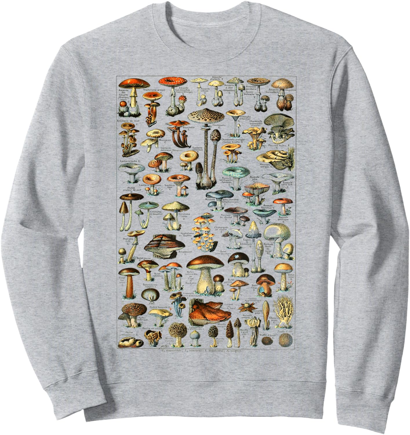 Illustration Mushroom Morel Hunter Sweatshirt - Sweatshirt | Ash