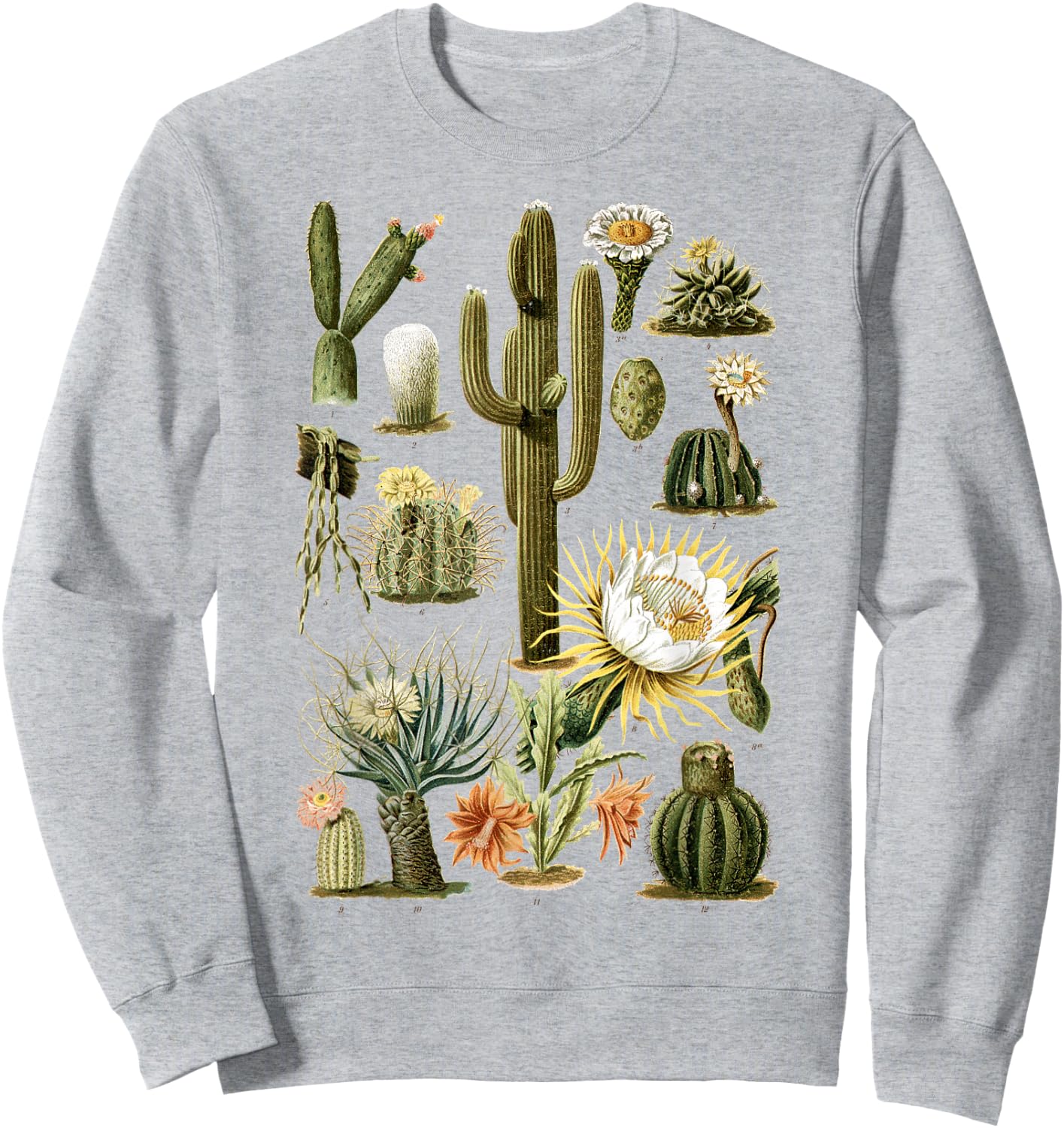 Cactus Succulent Plant Vintage Cacti Botanical Botanical Sweatshirt - Sweatshirt | Ash