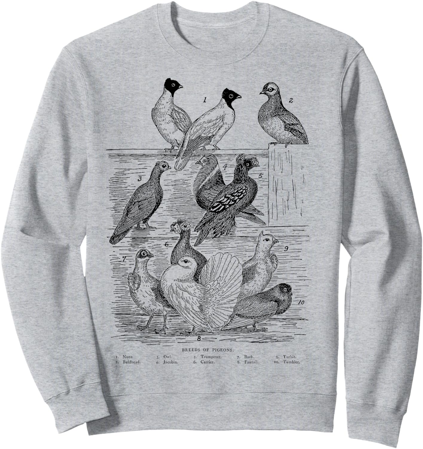 Vintage Breeds of Pigeons Gift Pigeon Lovers Sweatshirt - Sweatshirt | Ash
