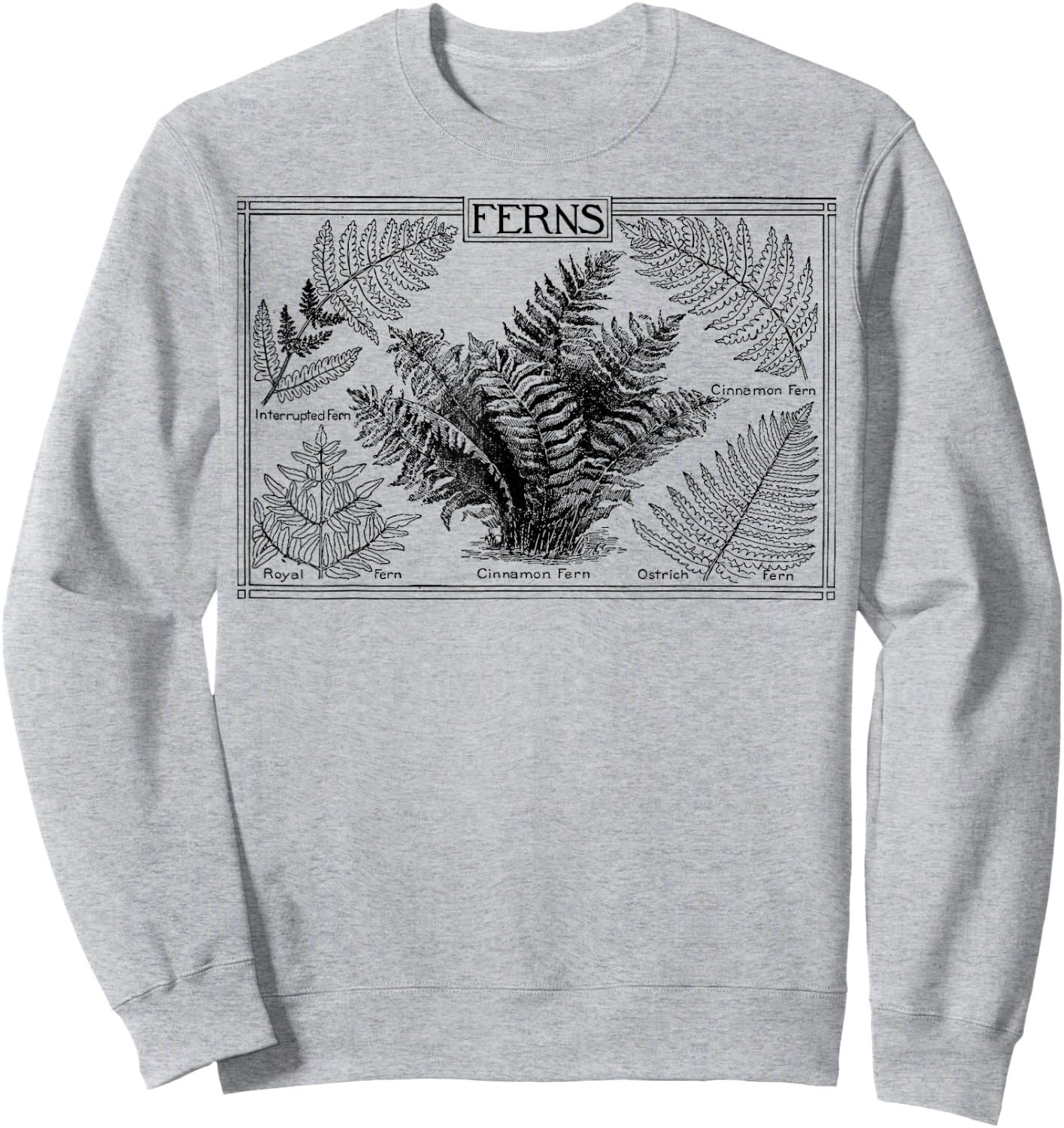 Fern Botanical Plant Botany Sweatshirt - Sweatshirt | Ash