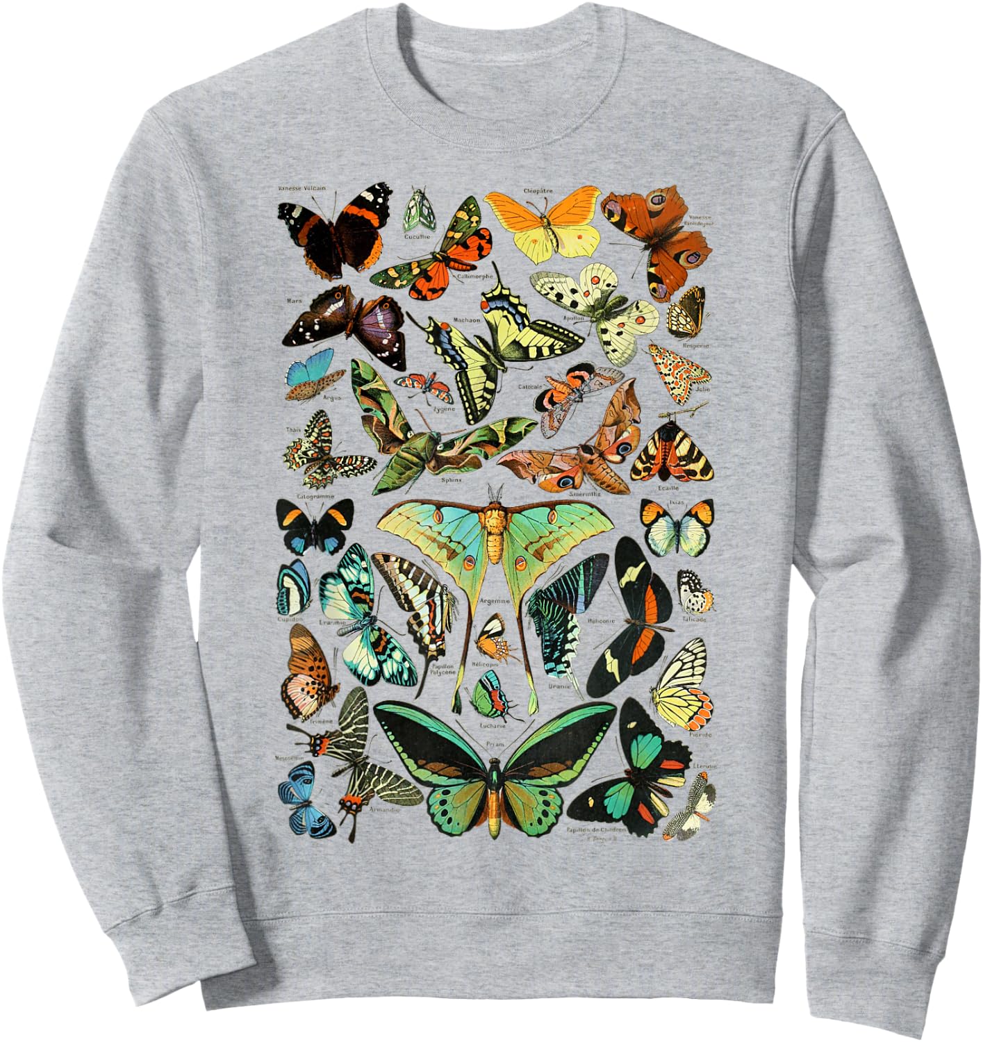 Butterflies Butterfly Collection Scientific Sweatshirt - Sweatshirt | Ash