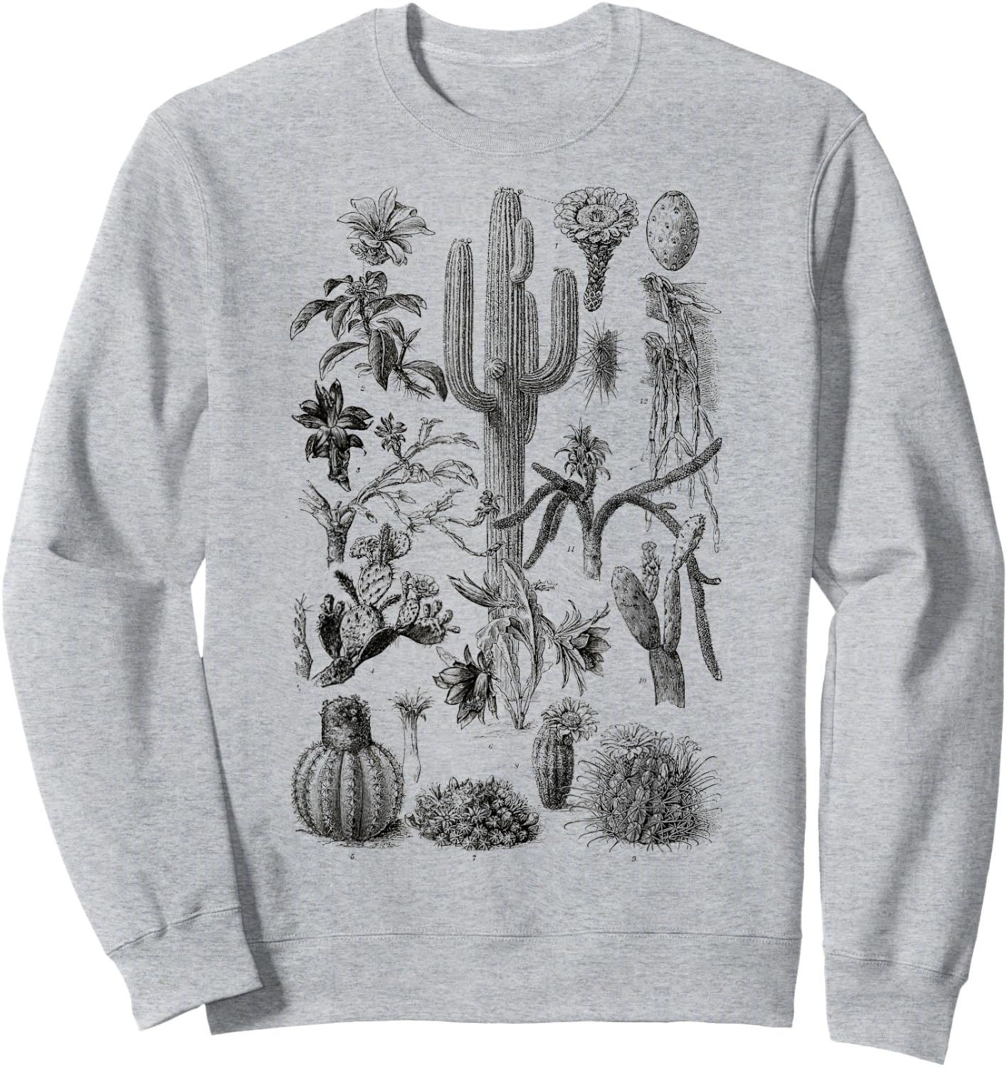 Vintage Cactus Chart Botanical Saguaro Cactus retro Desert Sweatshirt - Sweatshirt | Ash