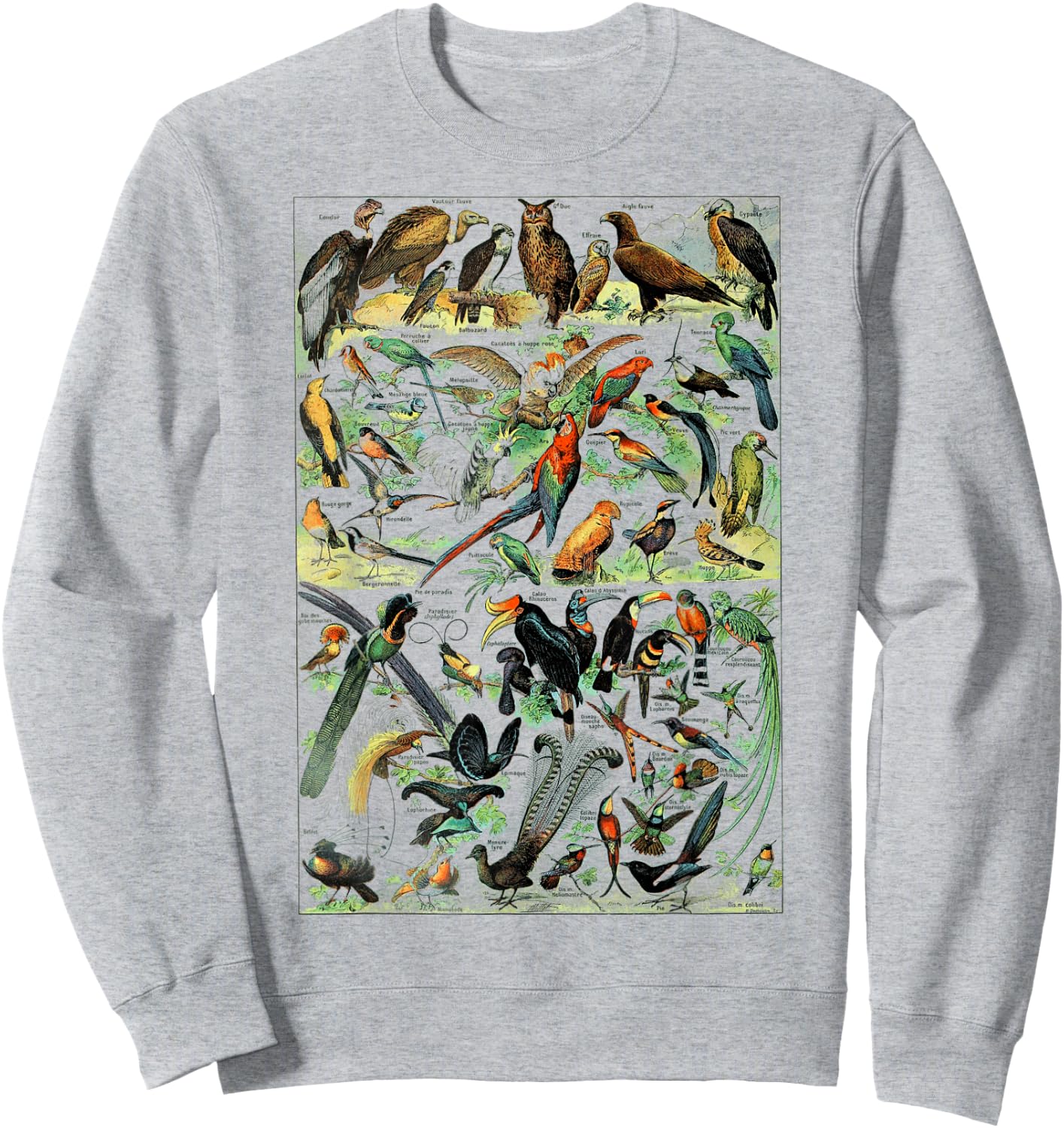 Bird Nature Birding Watcher Ornithology chart Types of birds Sweatshirt - Sweatshirt | Ash