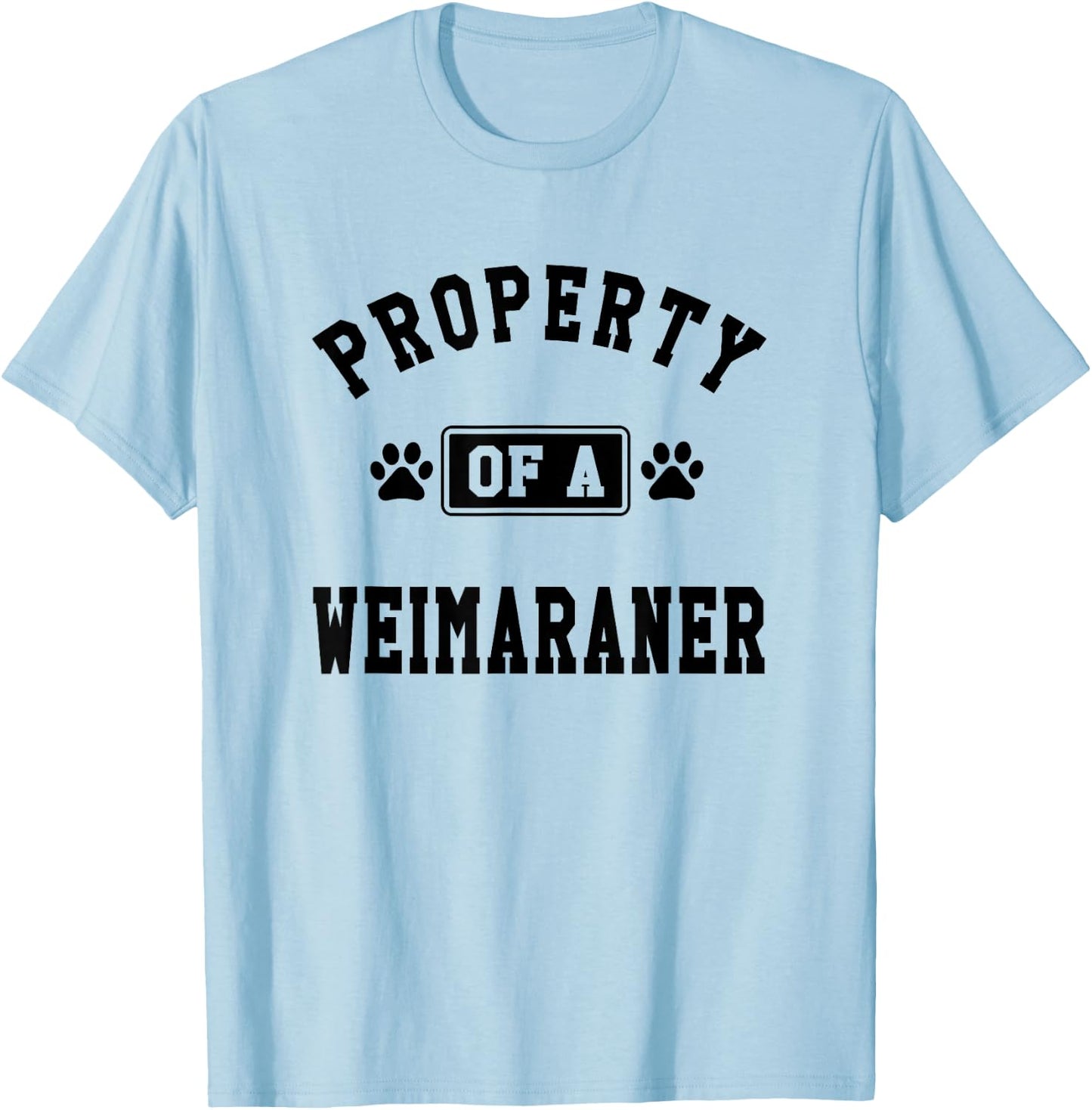 Property Of Weimaraner - Funny Weimaraner Lover Shirt Gift T-Shirt - T-Shirt | Light Blue