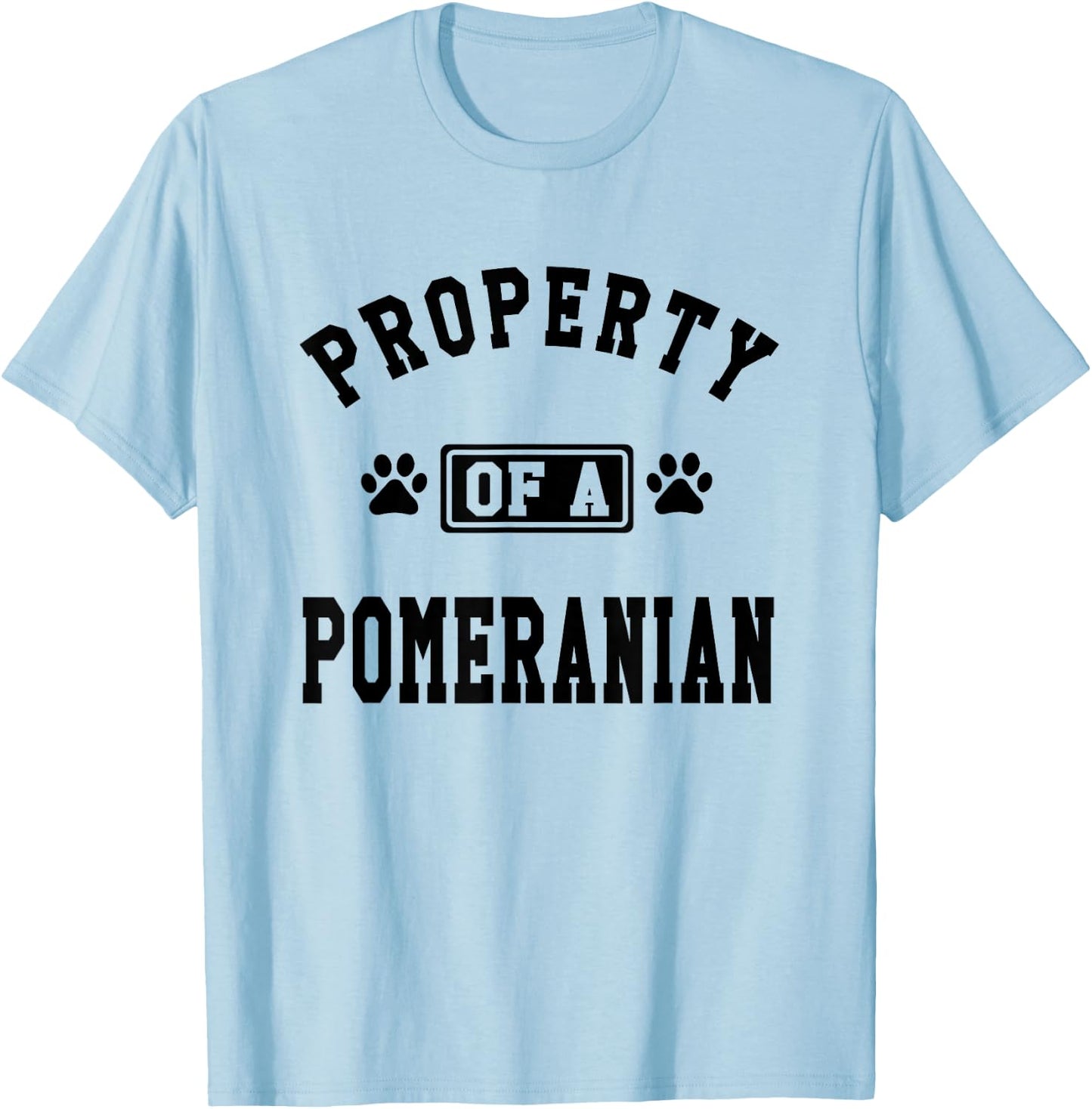 Property Of A Pomeranian - Pomeranian Lover Shirt Gift T-Shirt - T-Shirt | Light Blue