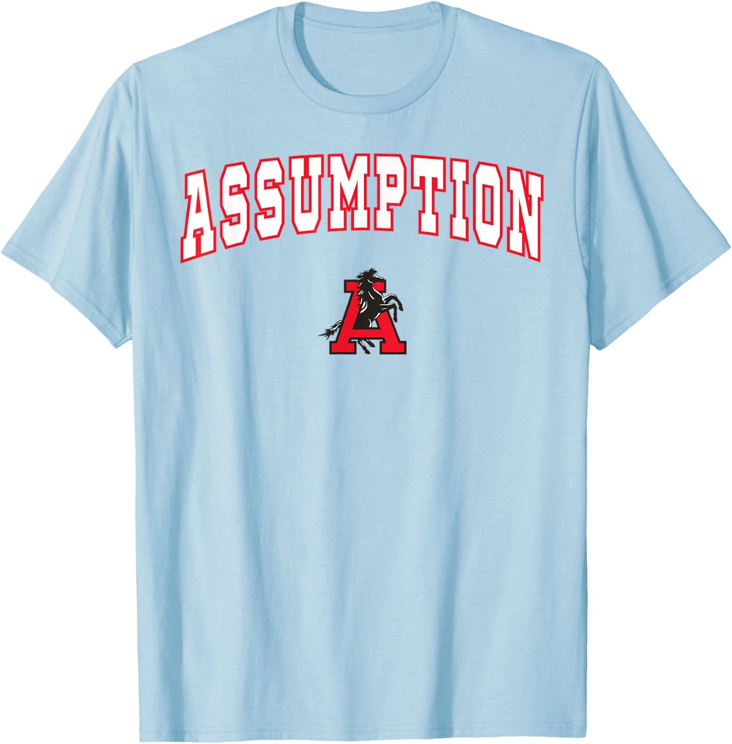 Assumption High School Mustangs C2 T-Shirt - T-Shirt | Light Blue