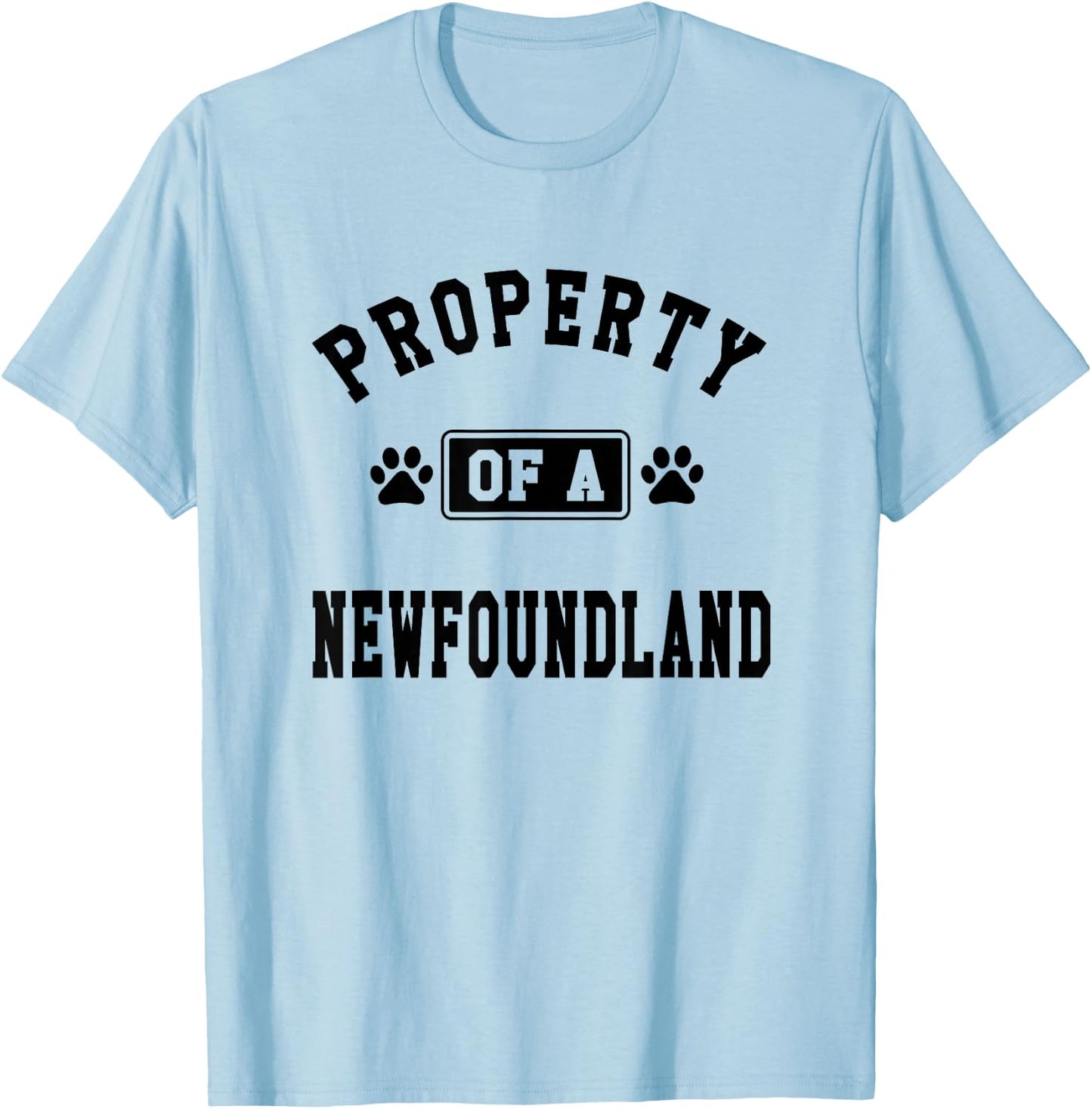 Property Of Newfoundland - Funny Newfoundland Lover Shirt T-Shirt - T-Shirt | Light Blue