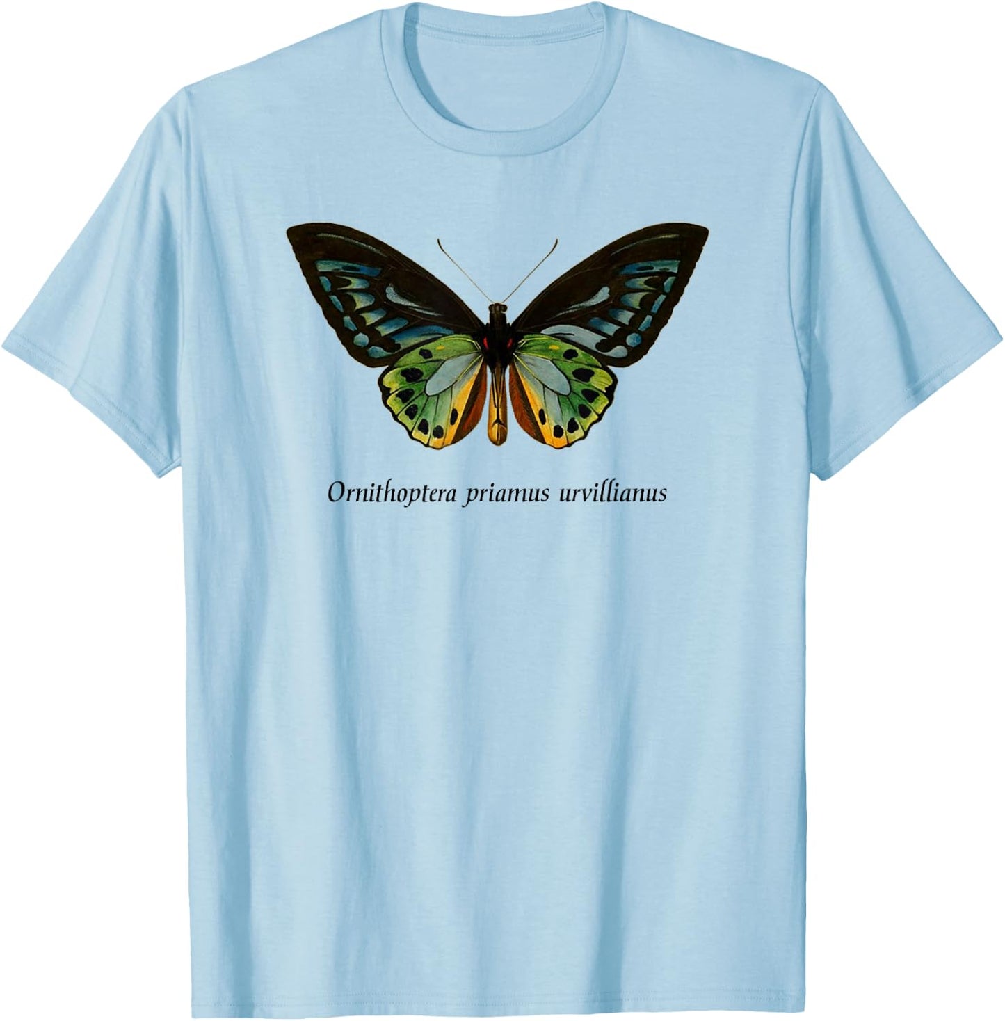 Bird Wing Butterfly Insect Entomology Moth T-Shirt - T-Shirt | Light Blue