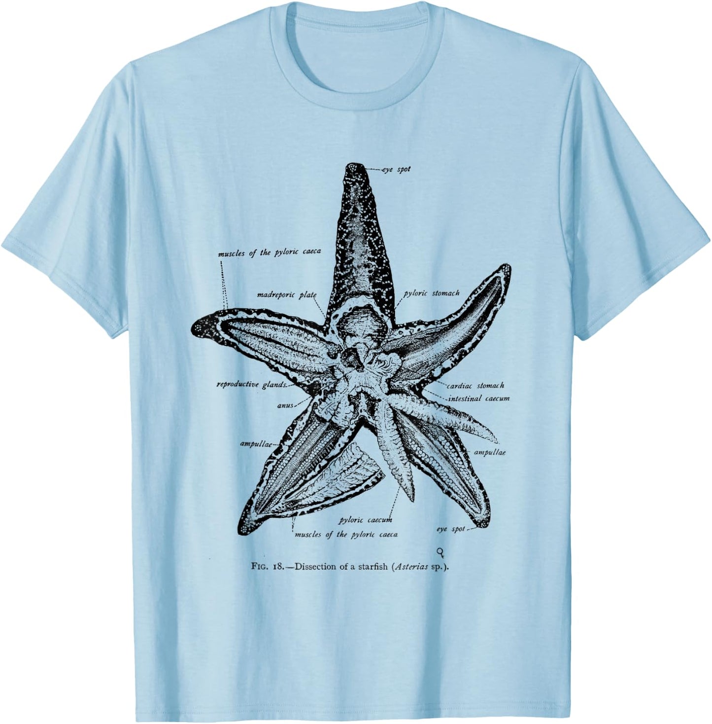 Vintage Marine Biology Starfish Sea Star T-Shirt - T-Shirt | Light Blue