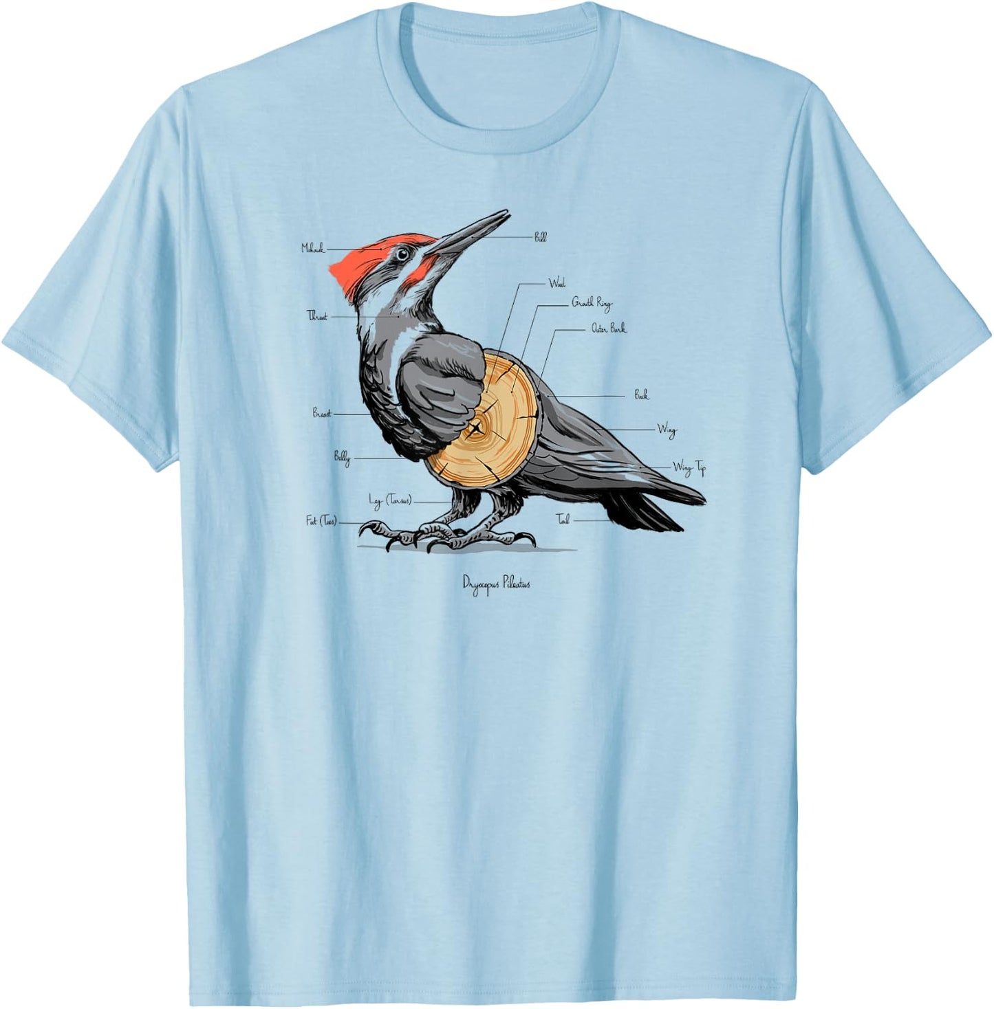 Woodpecker anatomy T-Shirt - T-Shirt | Light Blue