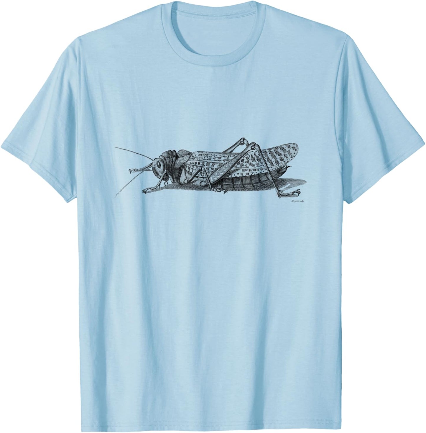 Cricket . Vintage Cricket Insect T-Shirt - T-Shirt | Light Blue