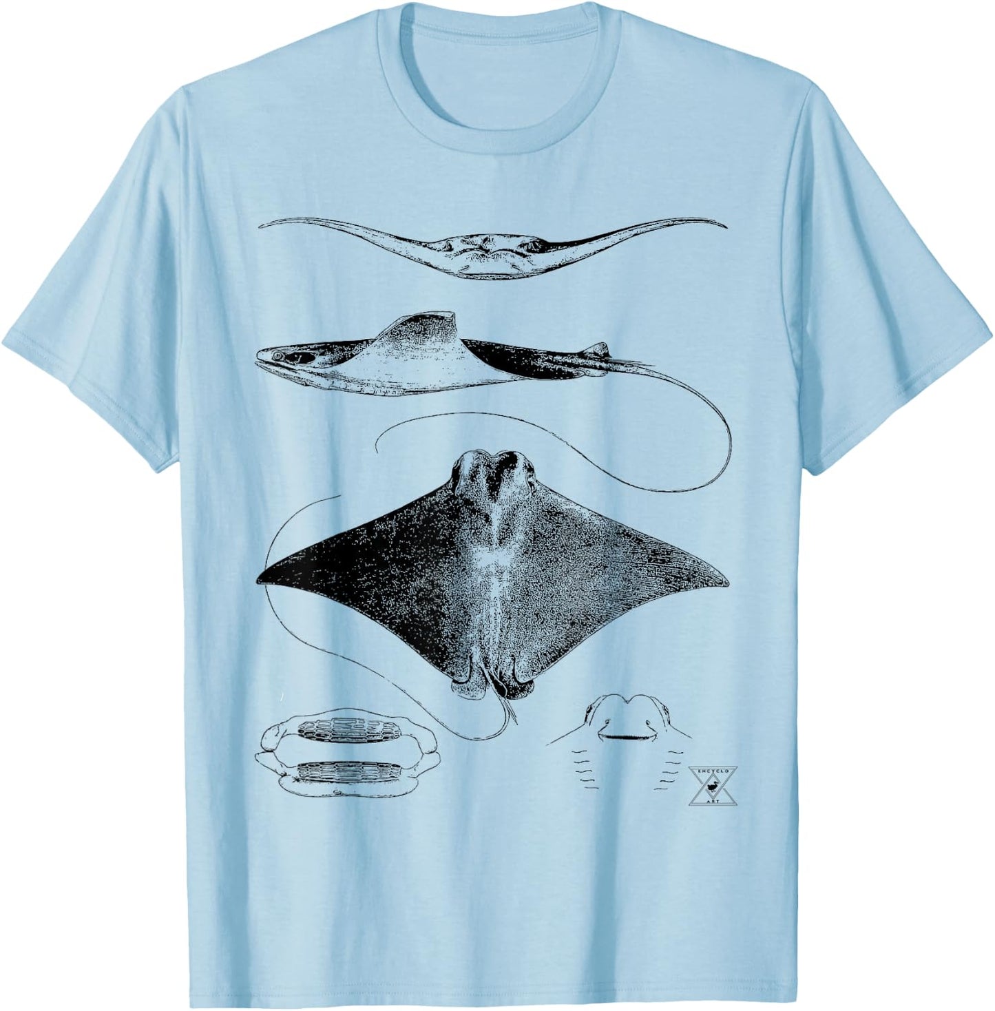 Stingray Anatomy | Sharks Rays Oceanography Sea Life T-Shirt - T-Shirt | Light Blue