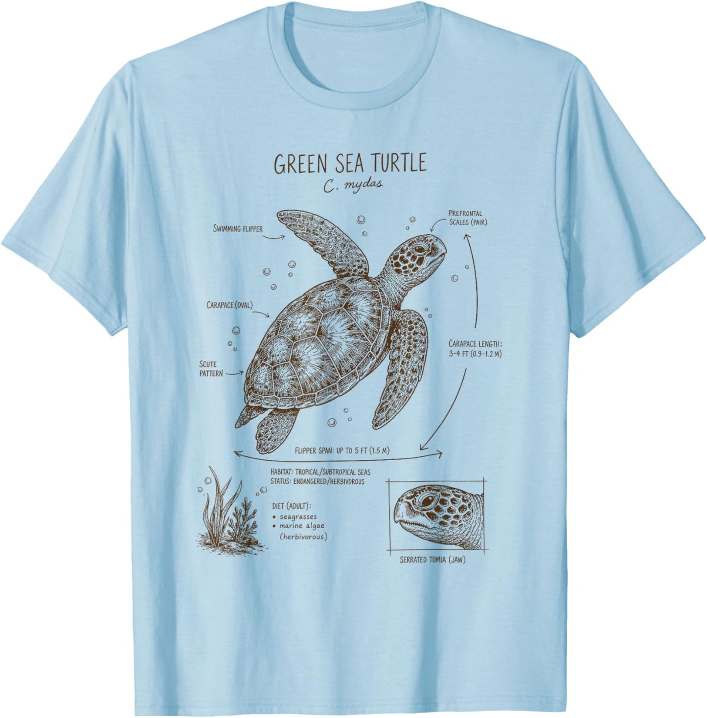 Green Sea Turtle Anatomy Ocean Sea Animal Wildlife Biology T-Shirt - T-Shirt | Light Blue