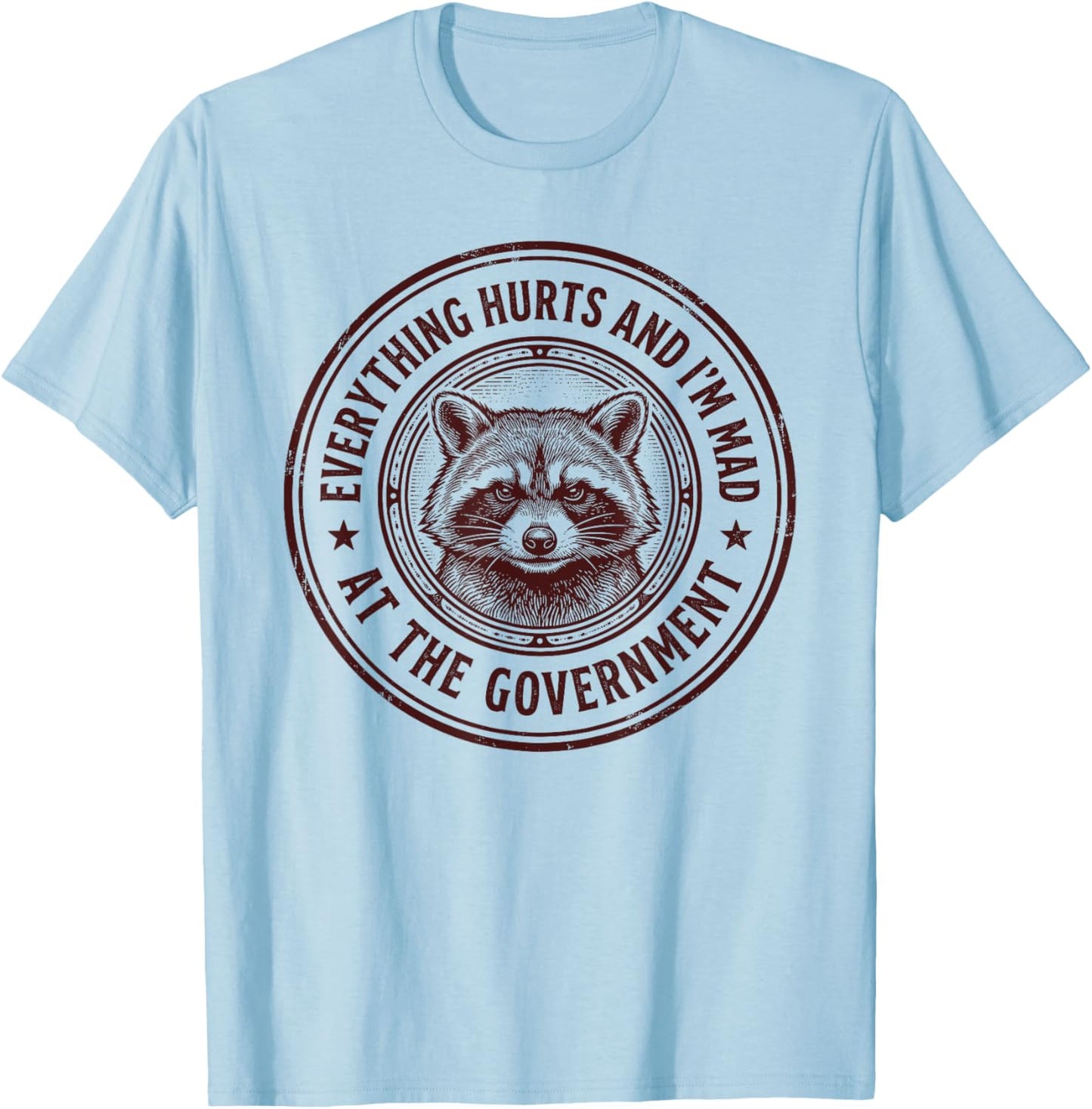 Everything Hurts and Im Mad At The Government Cynical Funny T-Shirt - T-Shirt | Light Blue