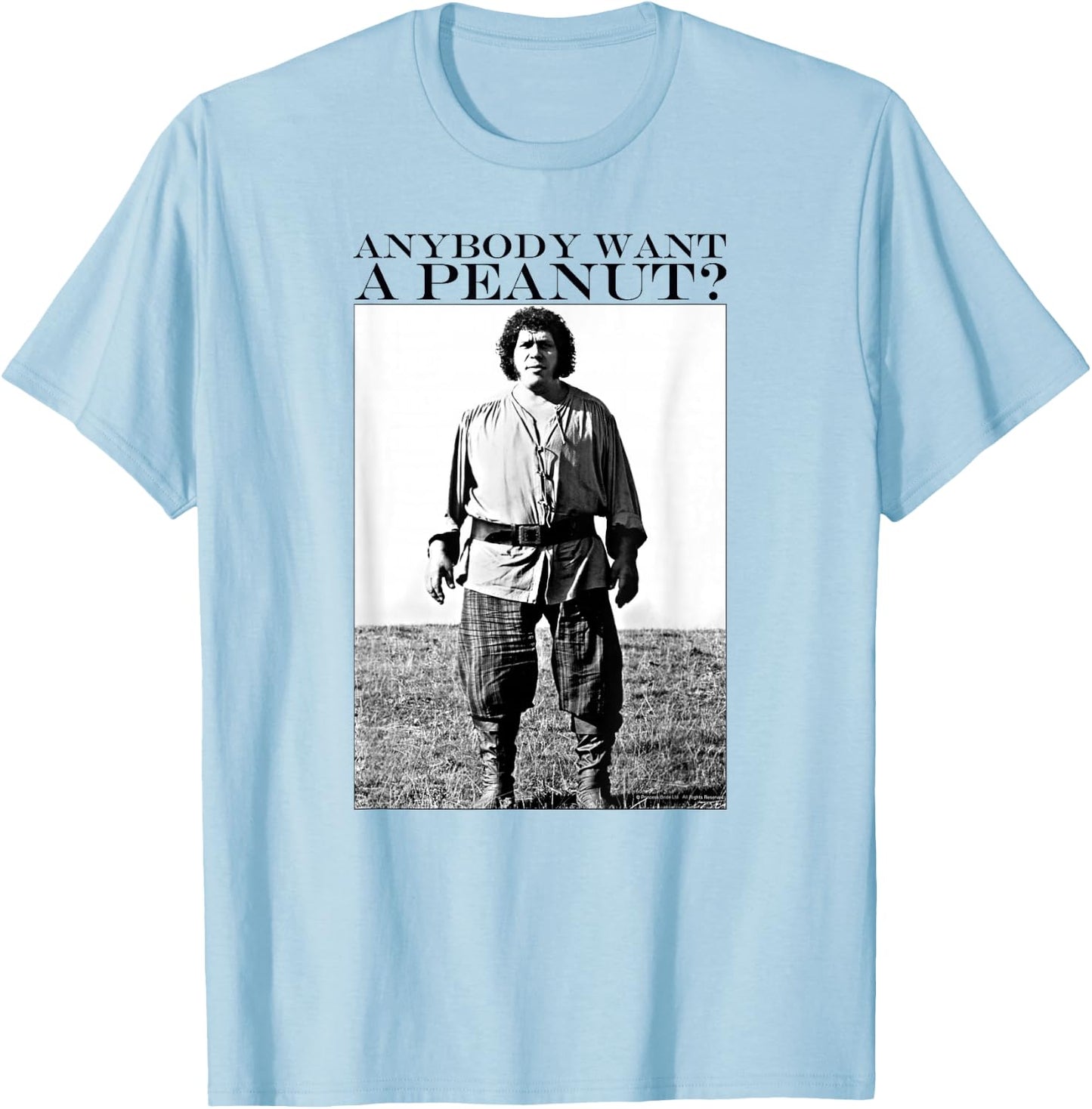 The Princess Bride Anybody Want a Peanut? T-Shirt - T-Shirt | Light Blue