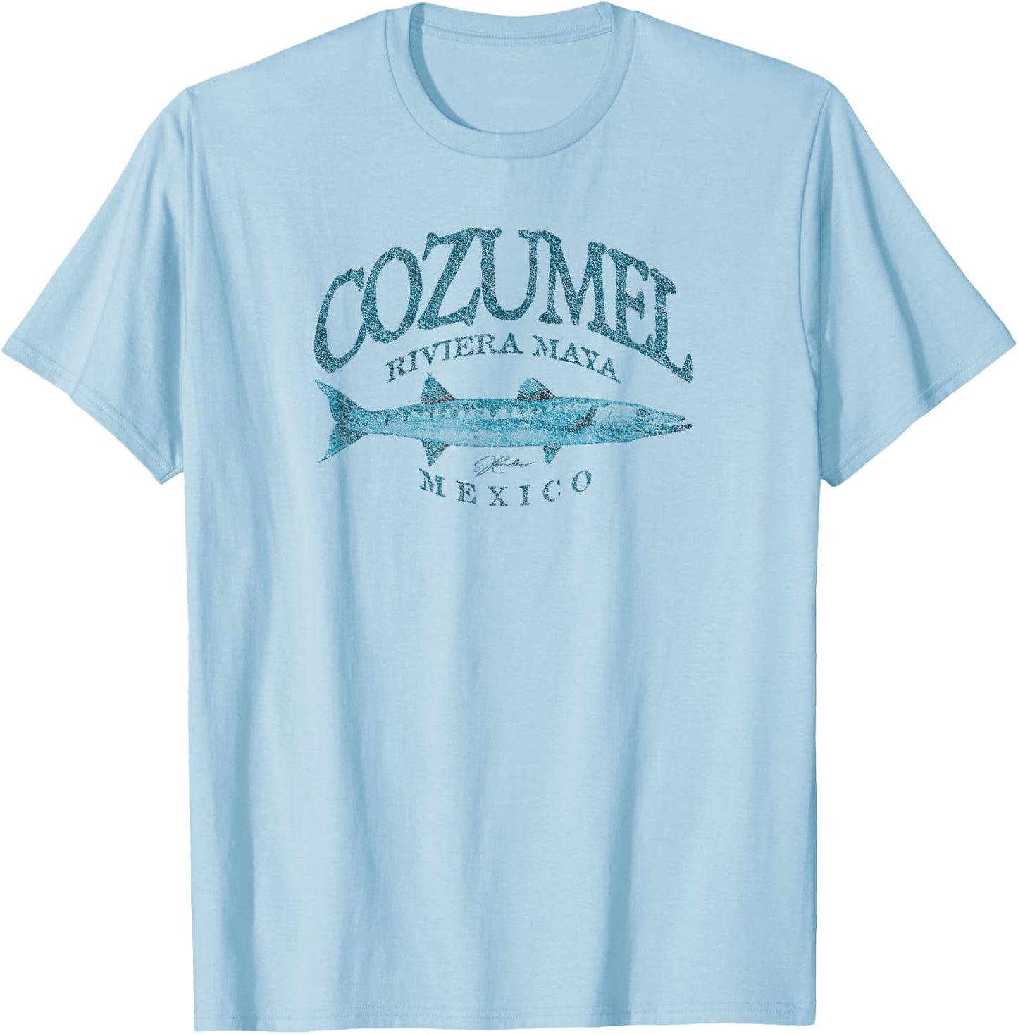 JCombs: Cozumel, Mexico, Great Barracuda T-Shirt - T-Shirt | Light Blue