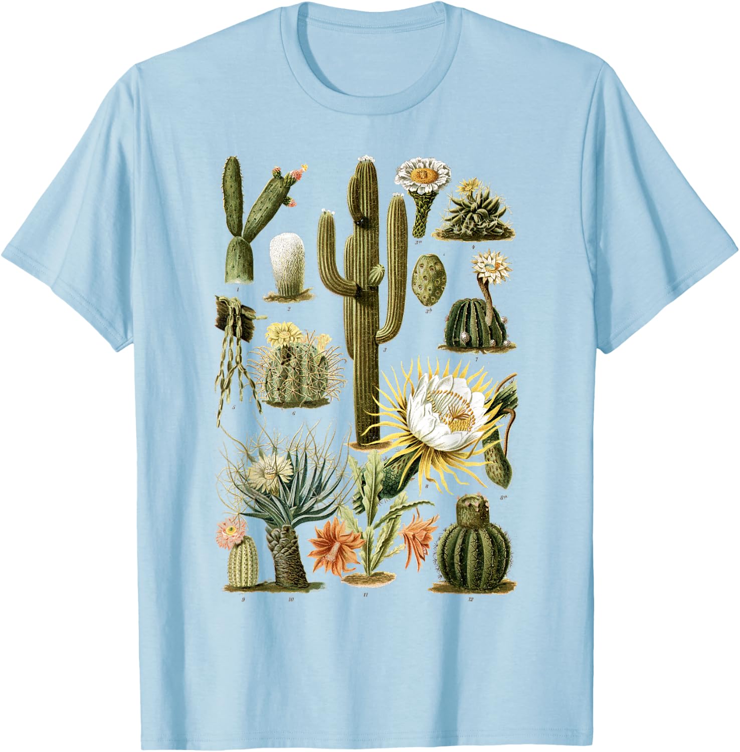 Cactus Succulent Plant Vintage Cacti Botanical Botanical T-Shirt - T-Shirt | Light Blue