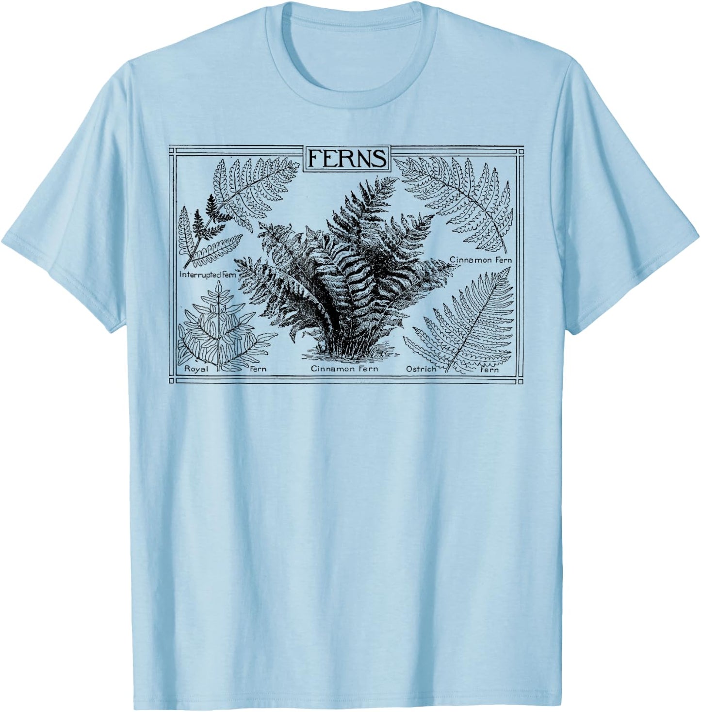 Fern Botanical Plant Botany T-Shirt - T-Shirt | Light Blue