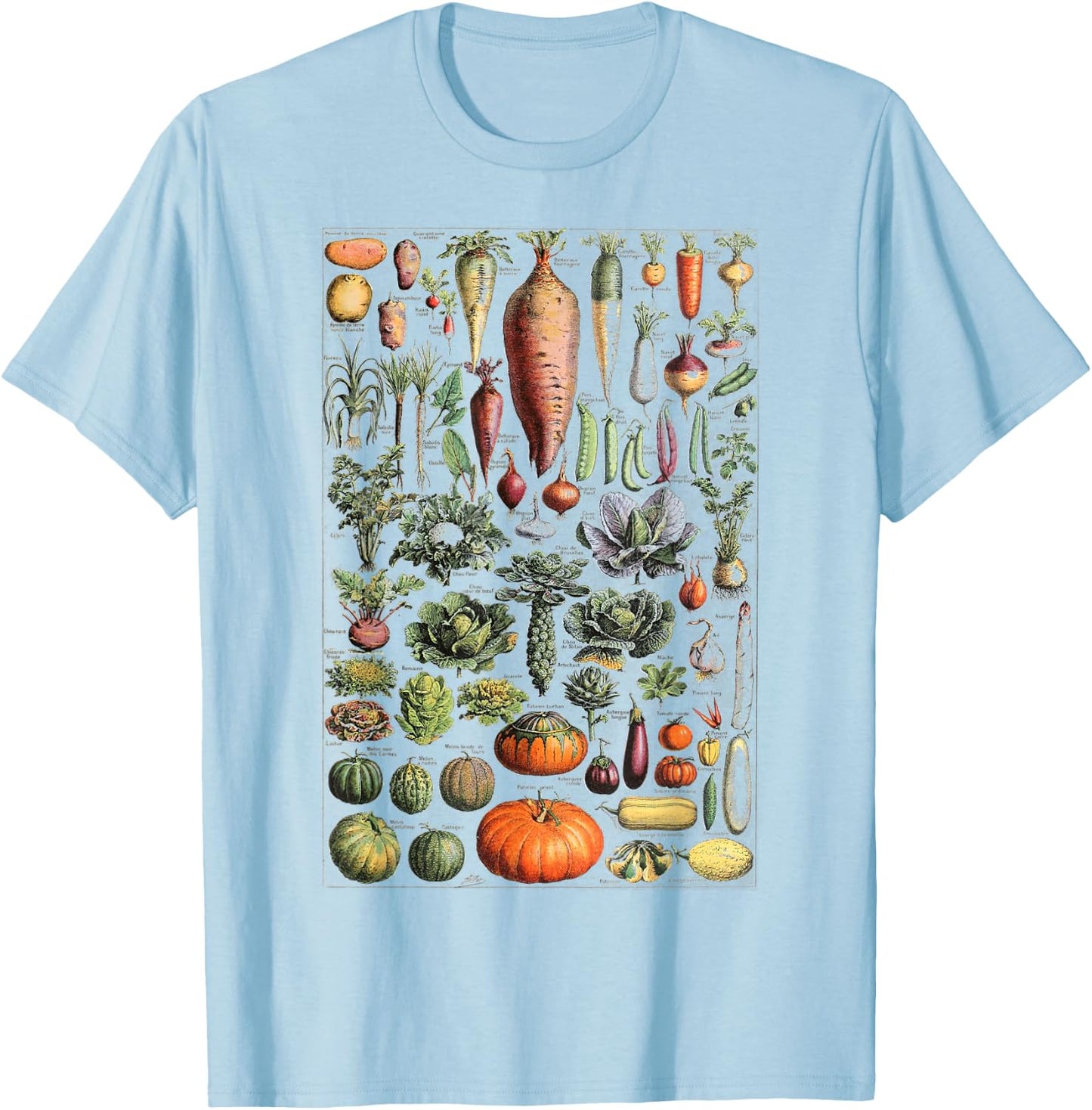 Kitchen Vegetable Identification Reference Table T-Shirt - T-Shirt | Light Blue