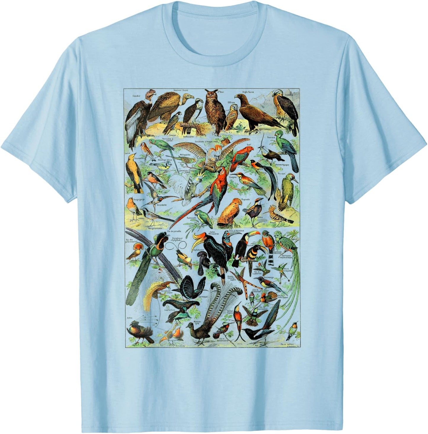 Bird Nature Birding Watcher Ornithology chart Types of birds T-Shirt - T-Shirt | Light Blue