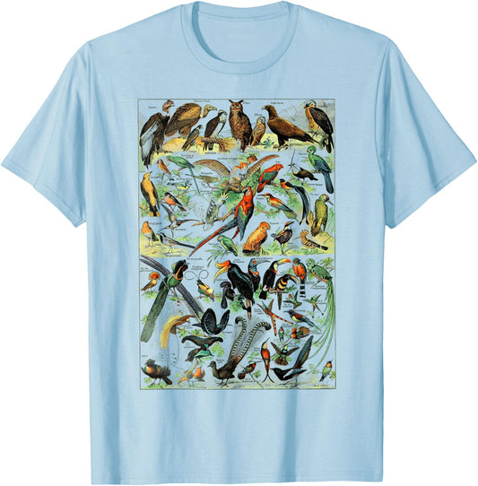 Bird Nature Birding Watcher Ornithology chart Types of birds T-Shirt - T-Shirt | Light Blue