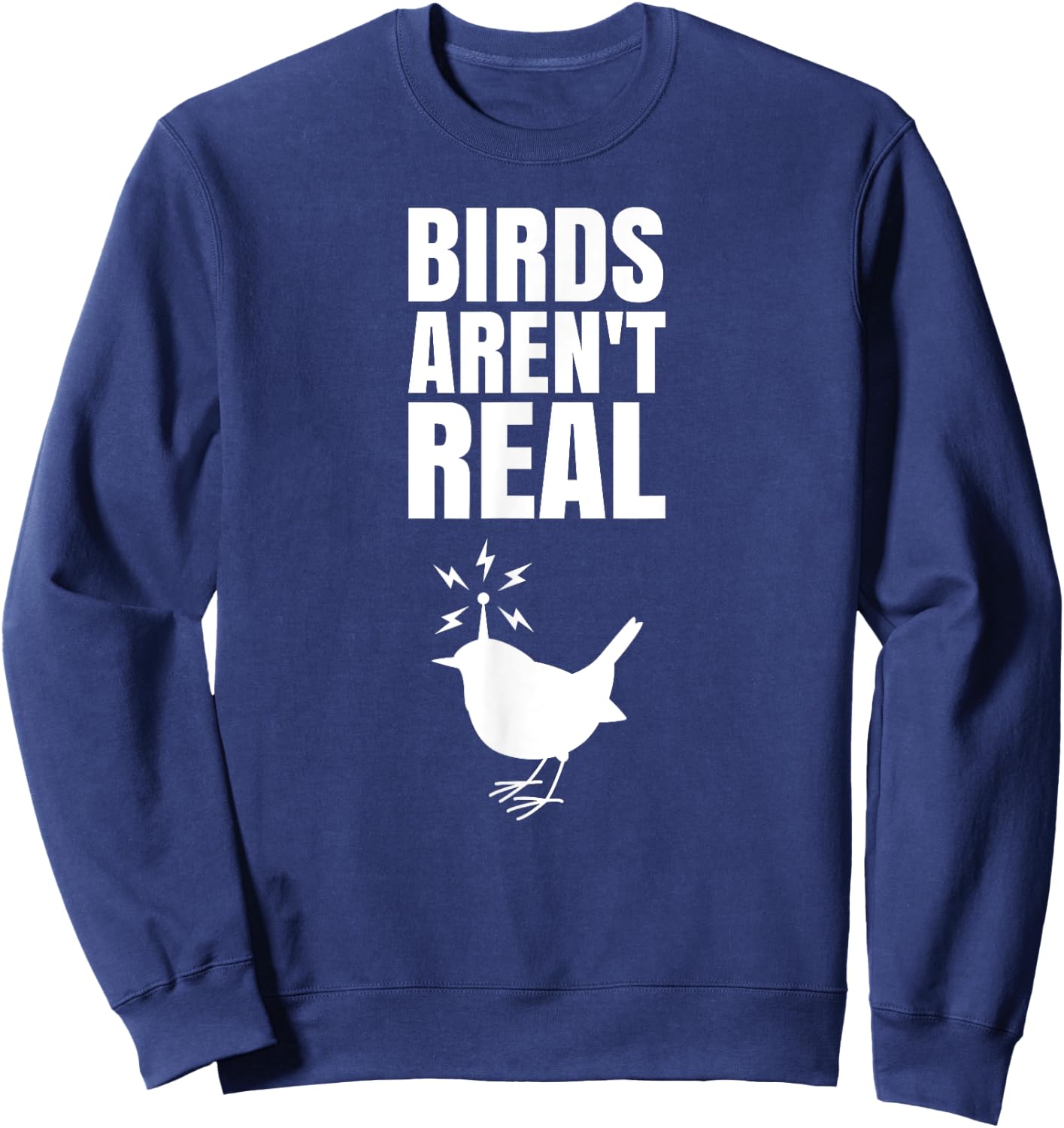 Birds Aren't Real Meme Conspiration Sweatshirt - Sweatshirt | Navy