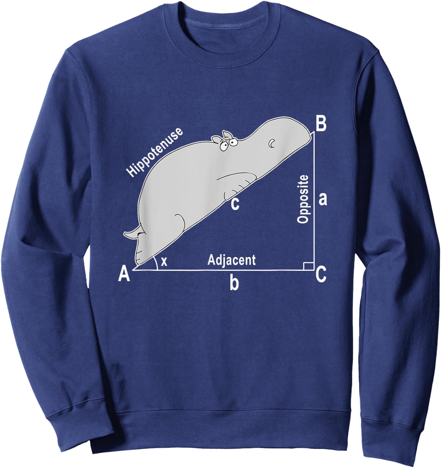 Hippo Math Analytical Funny Sarcasm Humor Teacher Men Women Girls Kids Sweatshirt - Sweatshirt | Navy