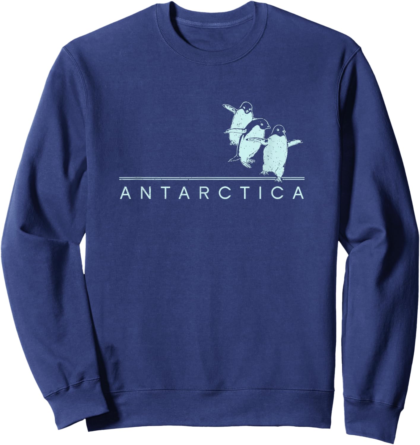 Antarctica Penguins Graphic Souvenirs Sweatshirt - Sweatshirt | Navy