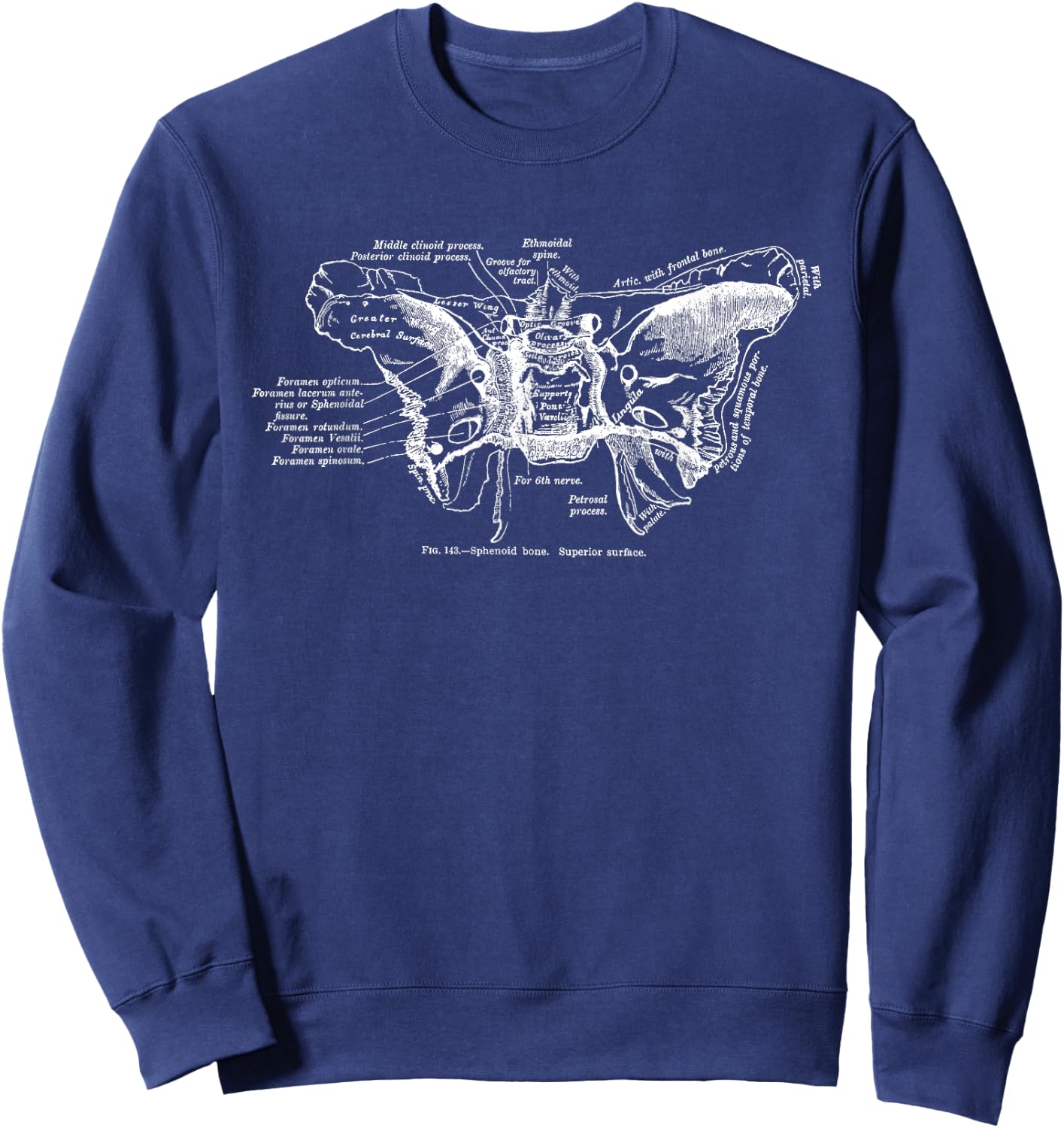Cranium Sphenoid Bone Anatomy Sweatshirt - Sweatshirt | Navy