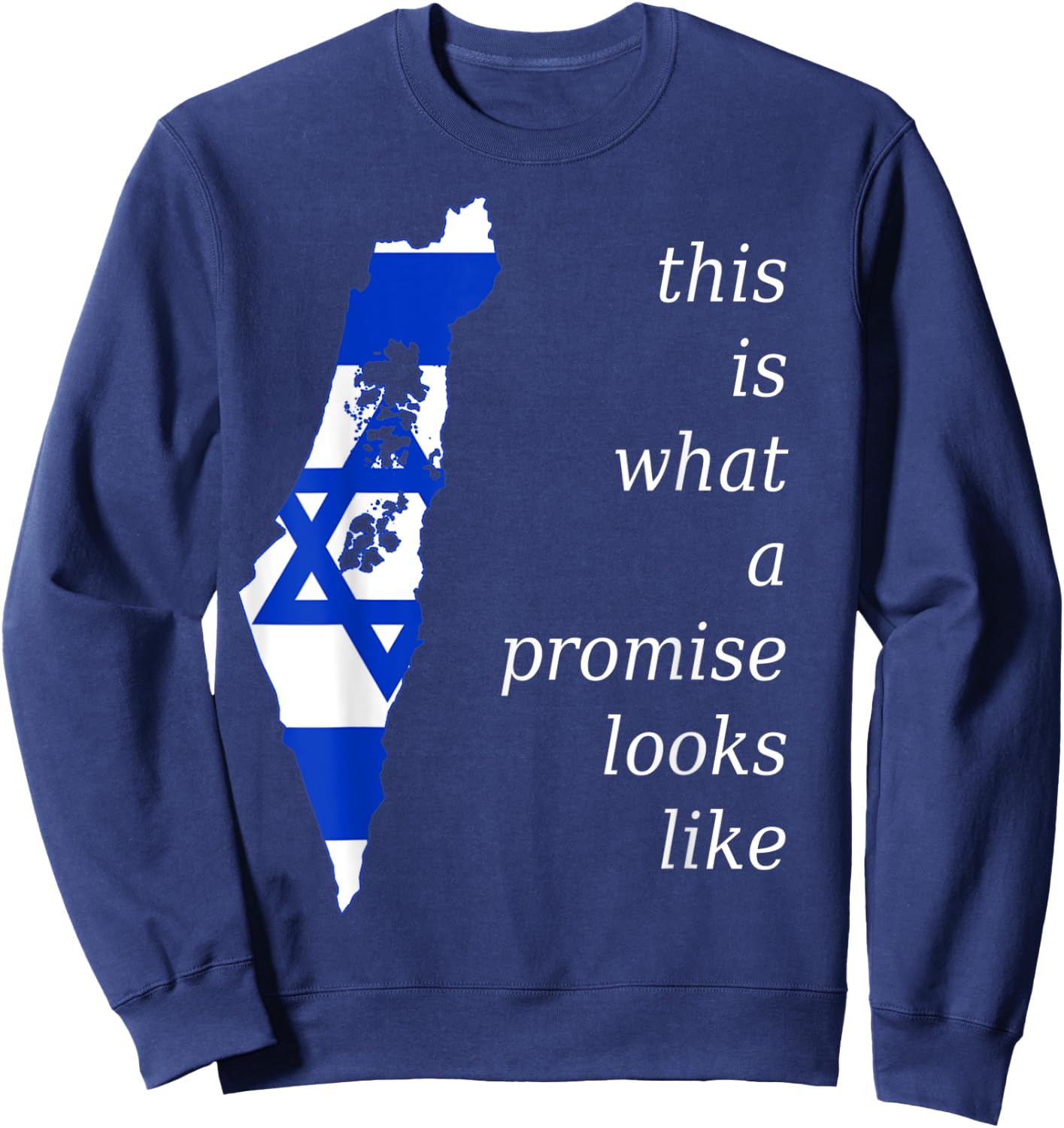 This is What a Promise Looks Like israel Jew Hebrew Jewish Sweatshirt - Sweatshirt | Navy
