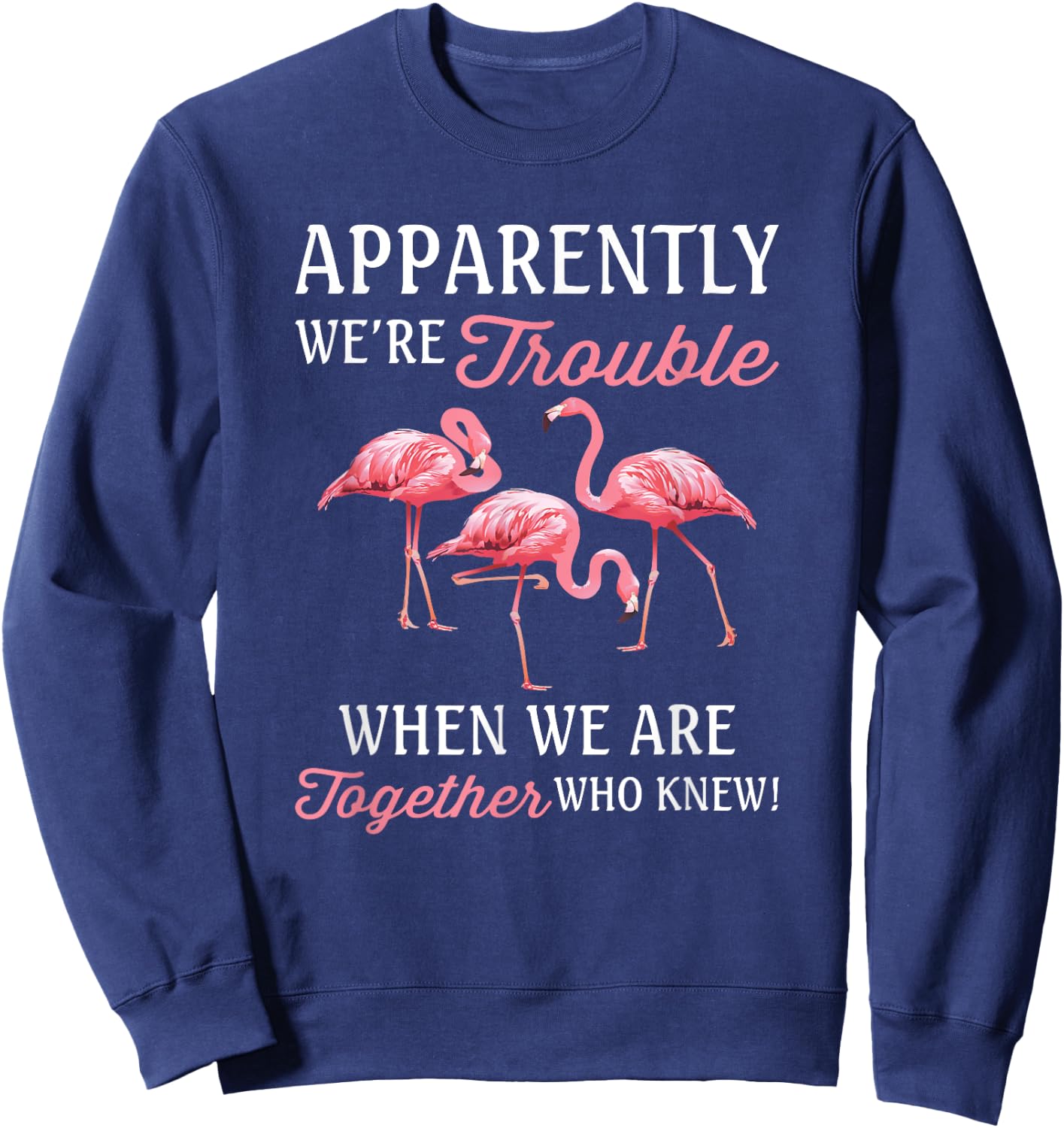 Apparently We're Trouble When We Are Together Who Knew Sweatshirt - Sweatshirt | Navy
