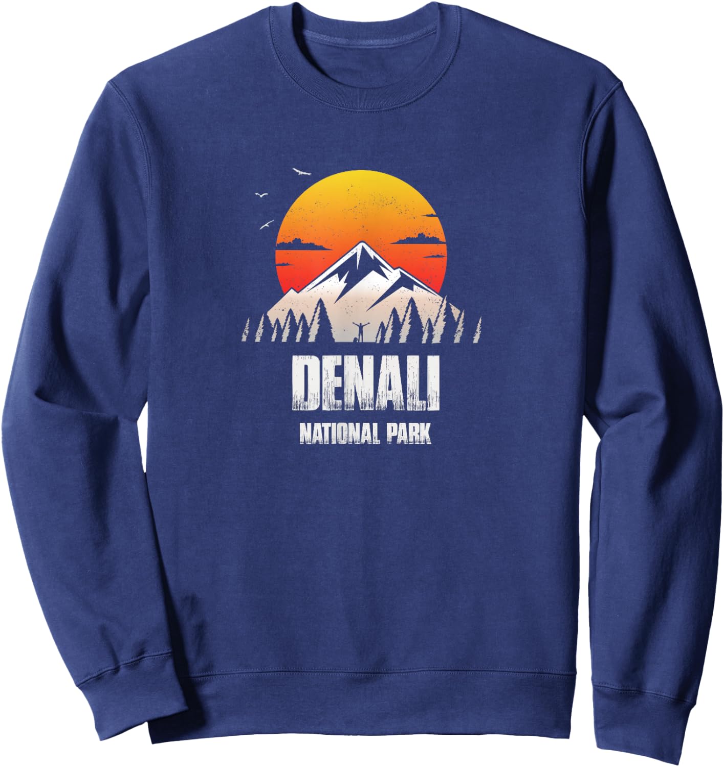 Denali Reminder - National Park Retro Souvenir Sweatshirt - Sweatshirt | Navy