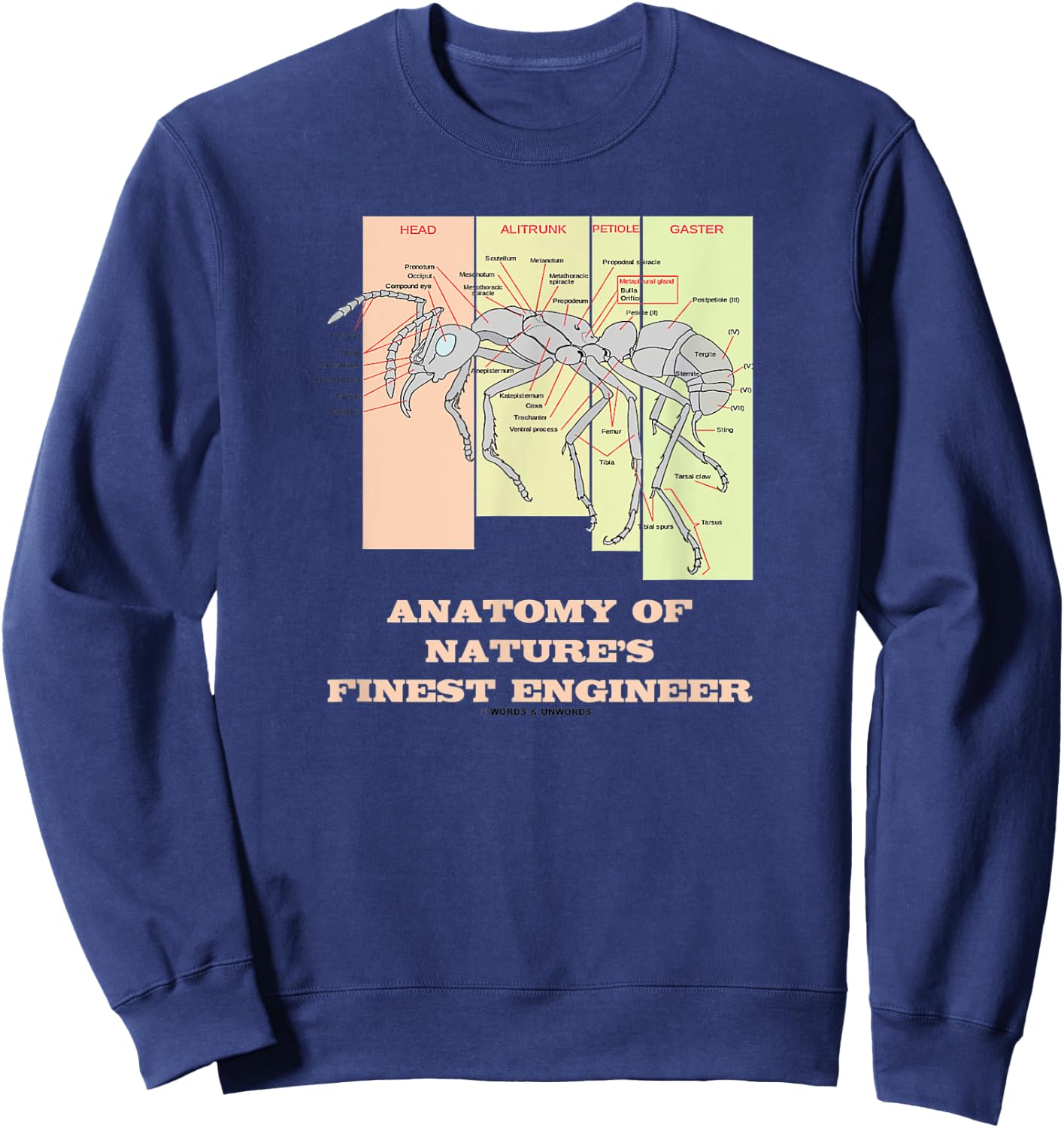 Anatomy Of Nature's Finest Engineer Worker Ant Anatomy Sweatshirt - Sweatshirt | Navy