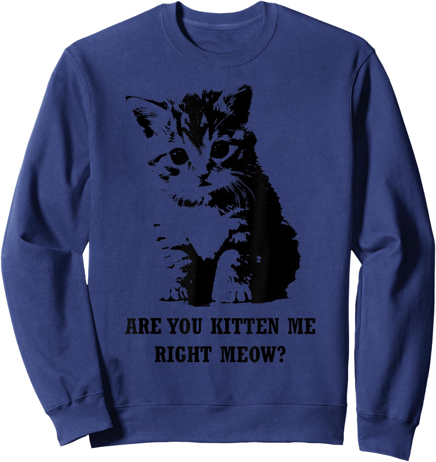 Are You Kitten Me Right Meow Sweatshirt - Sweatshirt | Navy