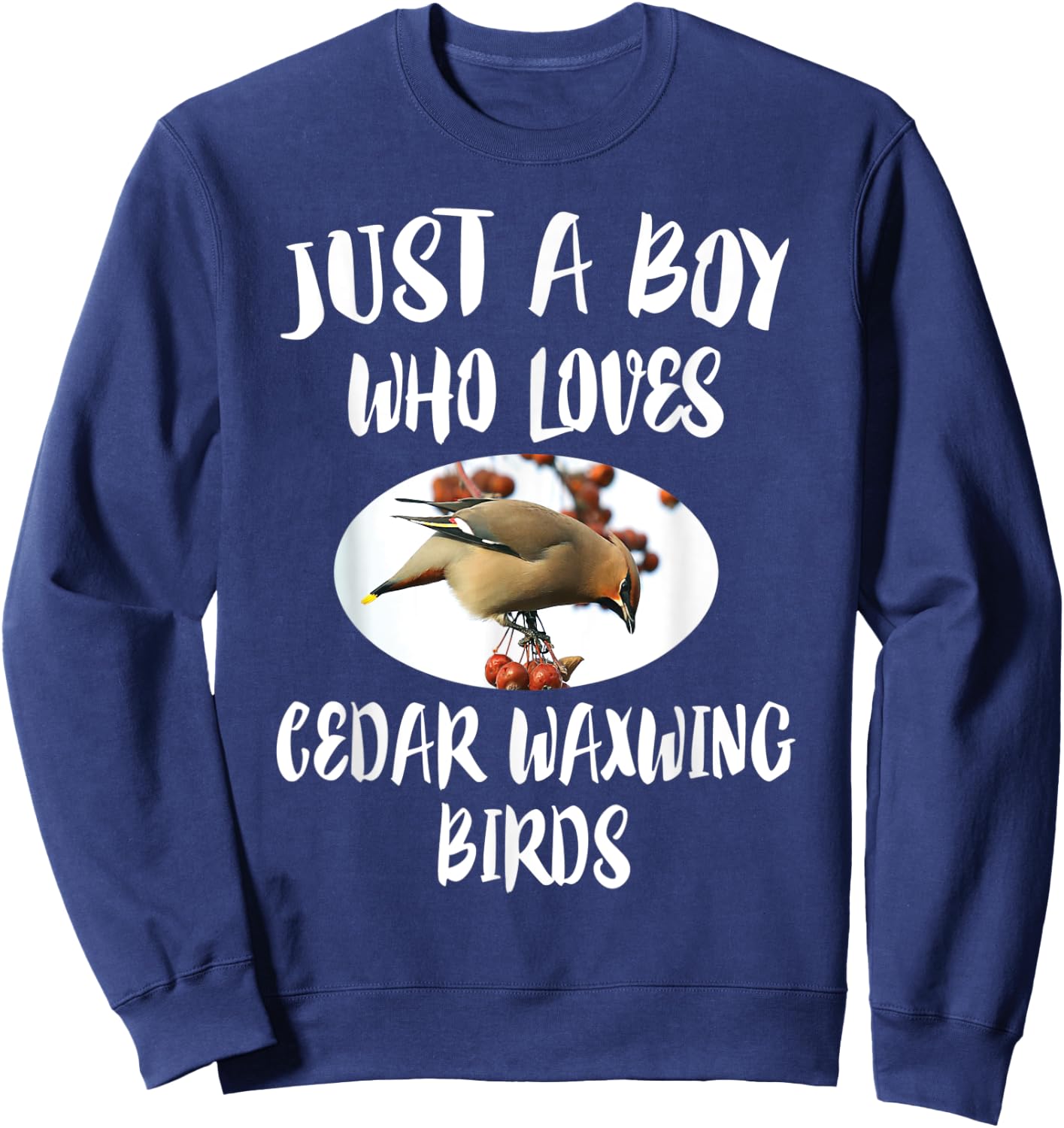 Just A Boy Who Loves Cedar Waxwing Birds Gift Sweatshirt - Sweatshirt | Navy