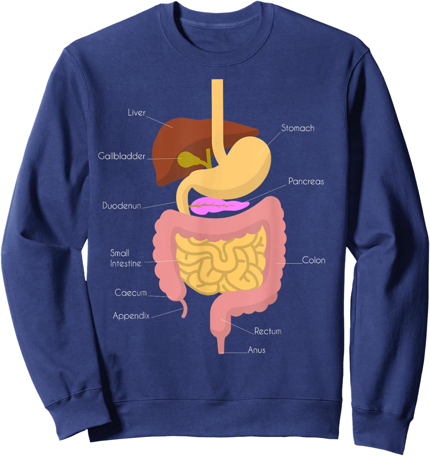 Digestive System Sweatshirt - Sweatshirt | Navy