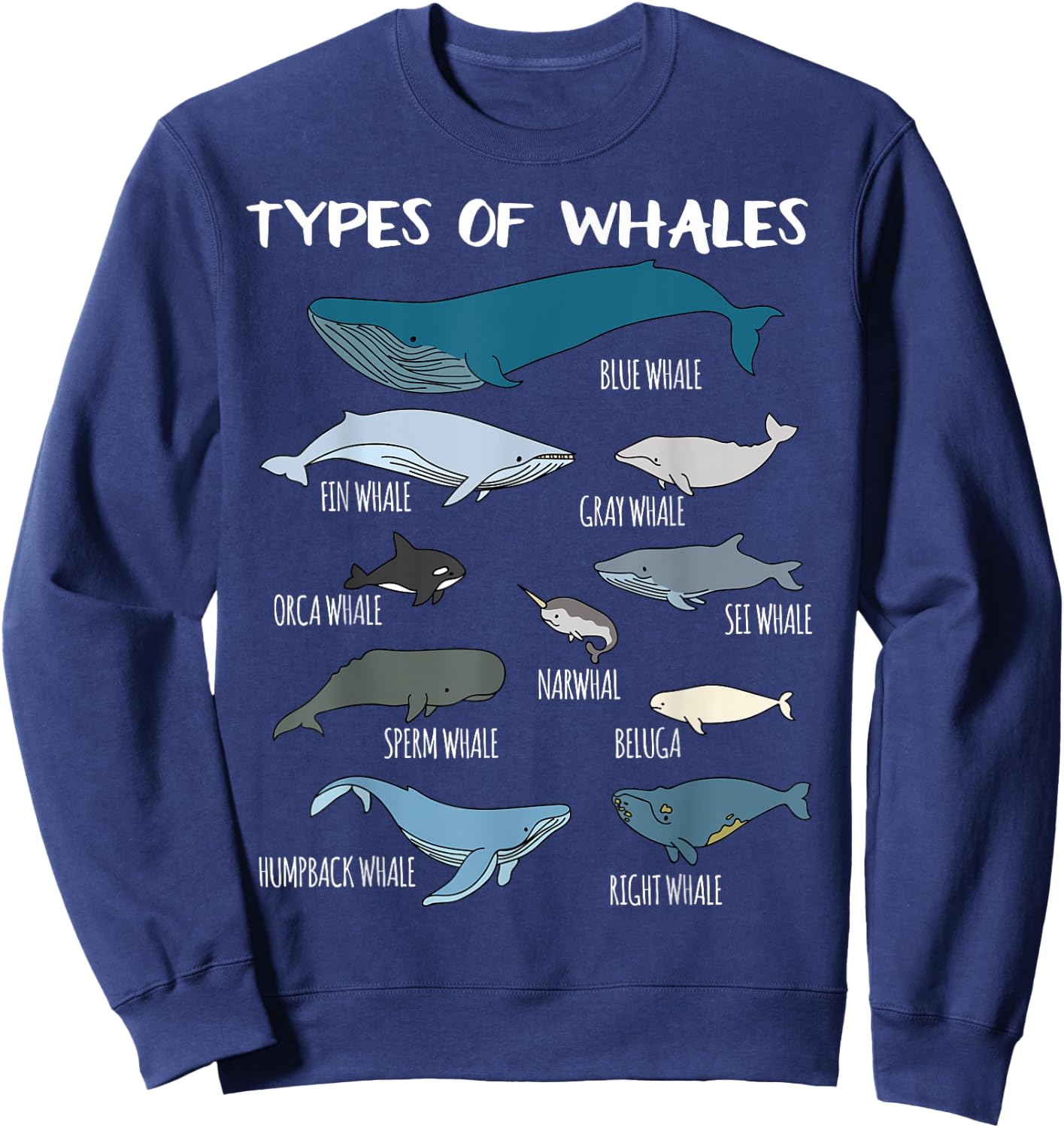 Types Of Whales Cute Ocean Mammals Guide T Shirt Sweatshirt - Sweatshirt | Navy